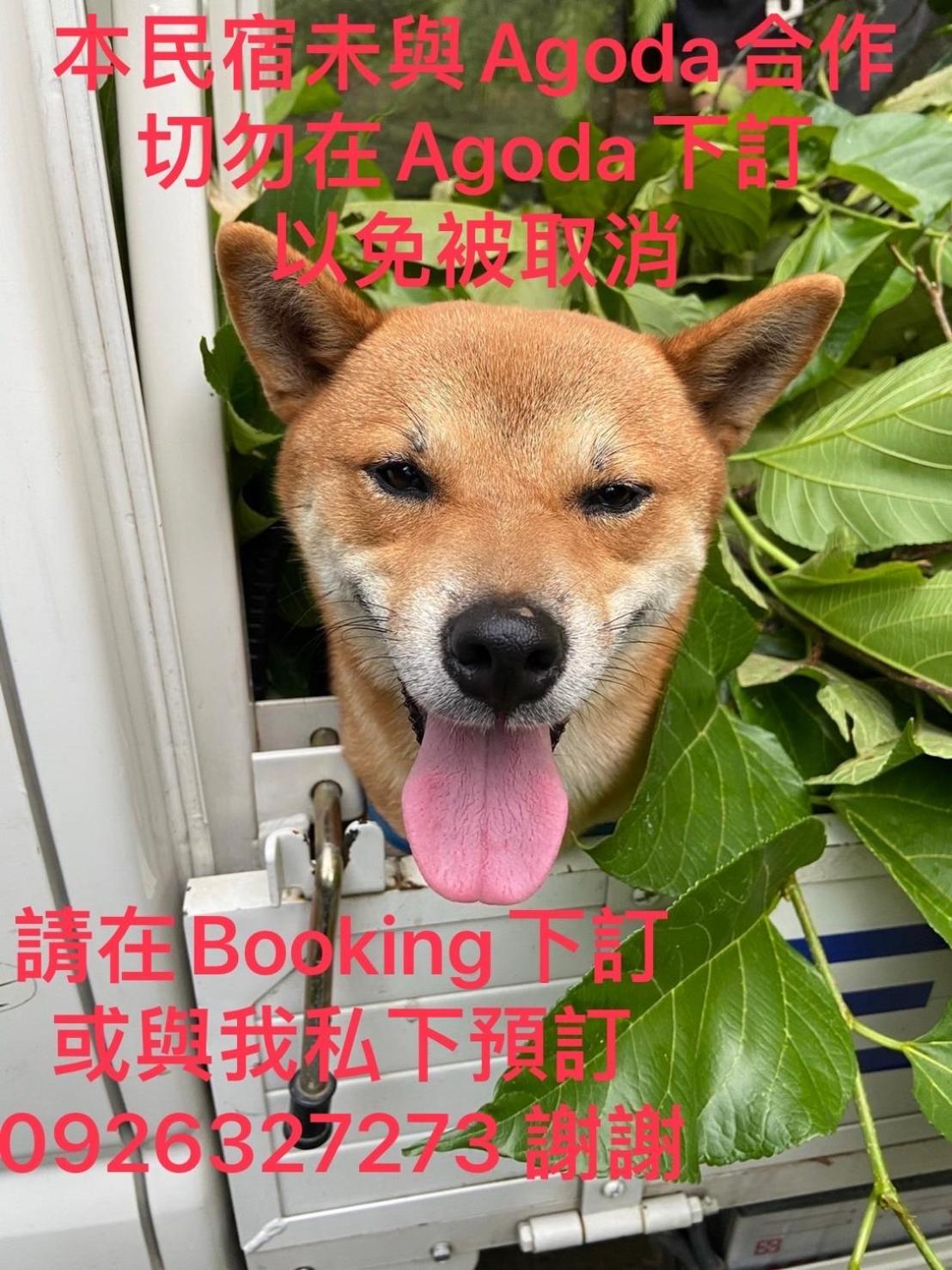 進泉莊民宿 有卡拉ok可以烤肉可以帶寵物 view 4