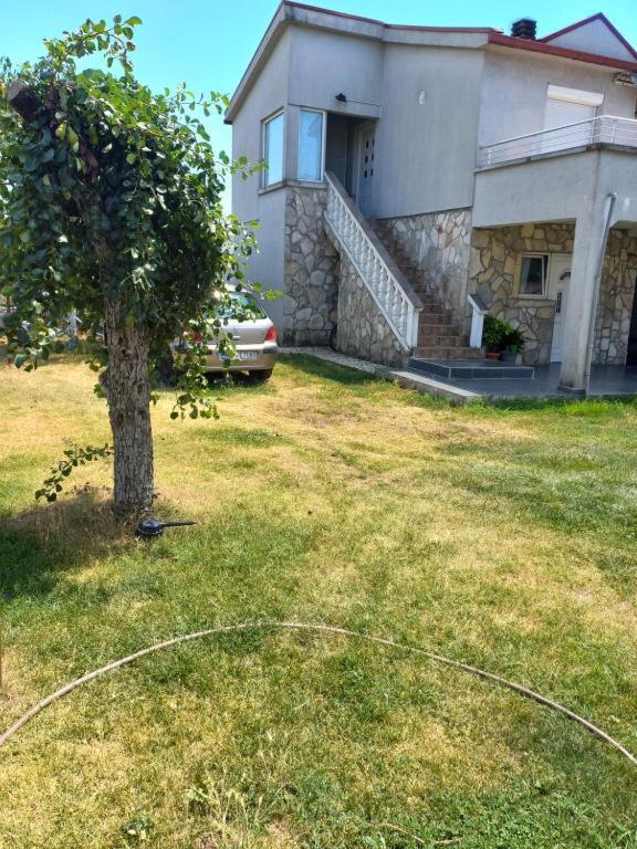Hostel Dragana