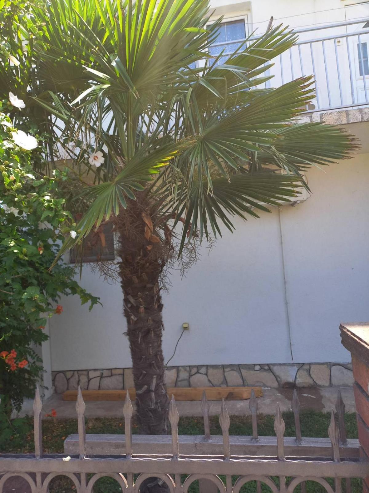Hostel Dragana