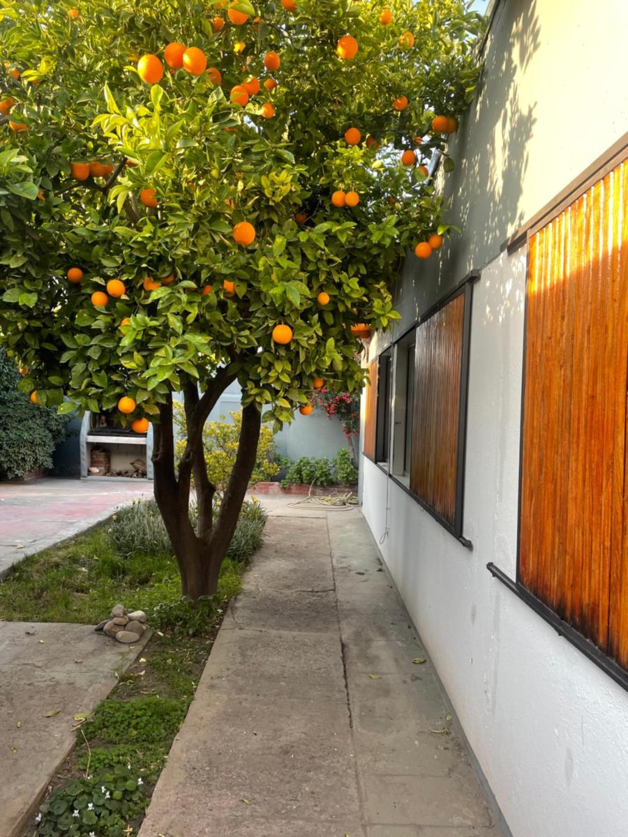 CASA NUEVA