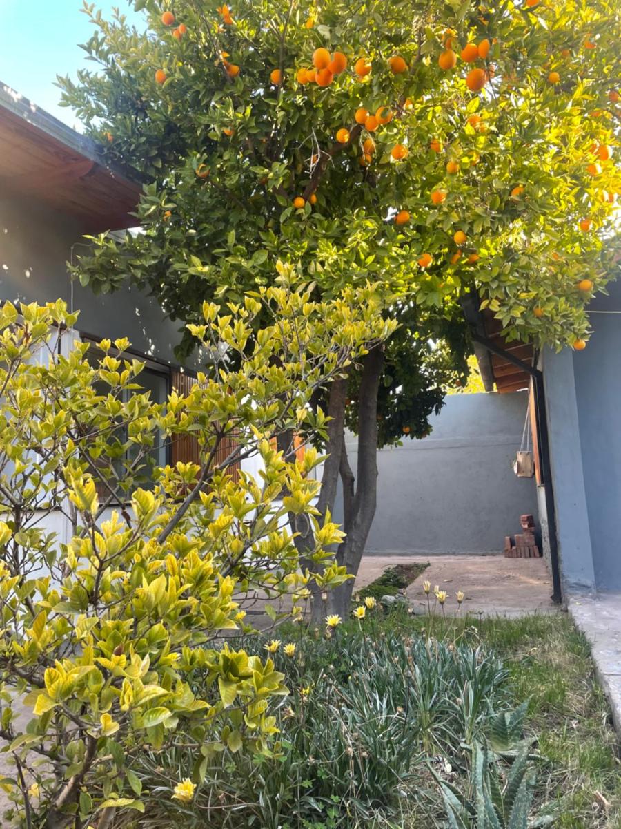 CASA NUEVA