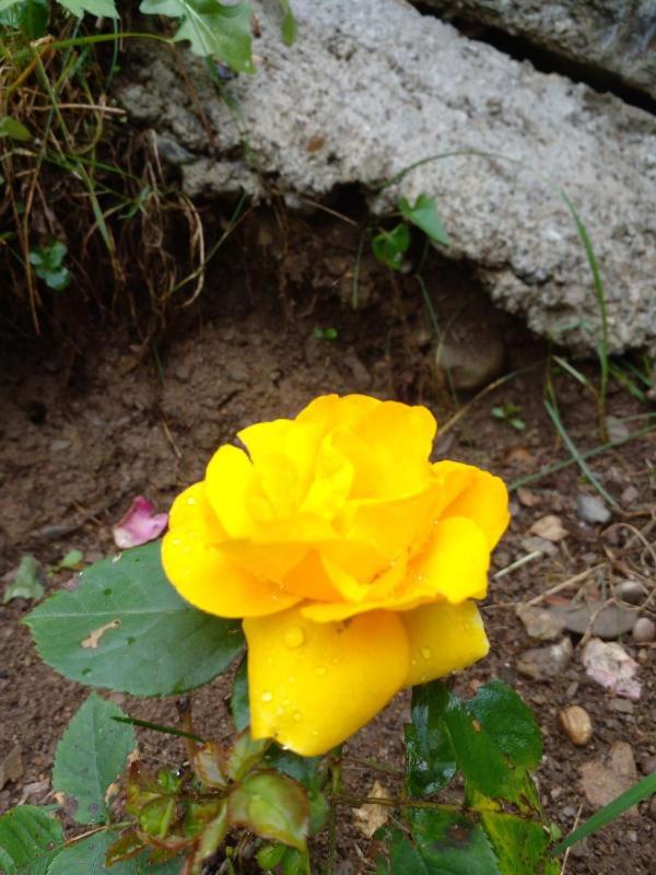 Photo 26