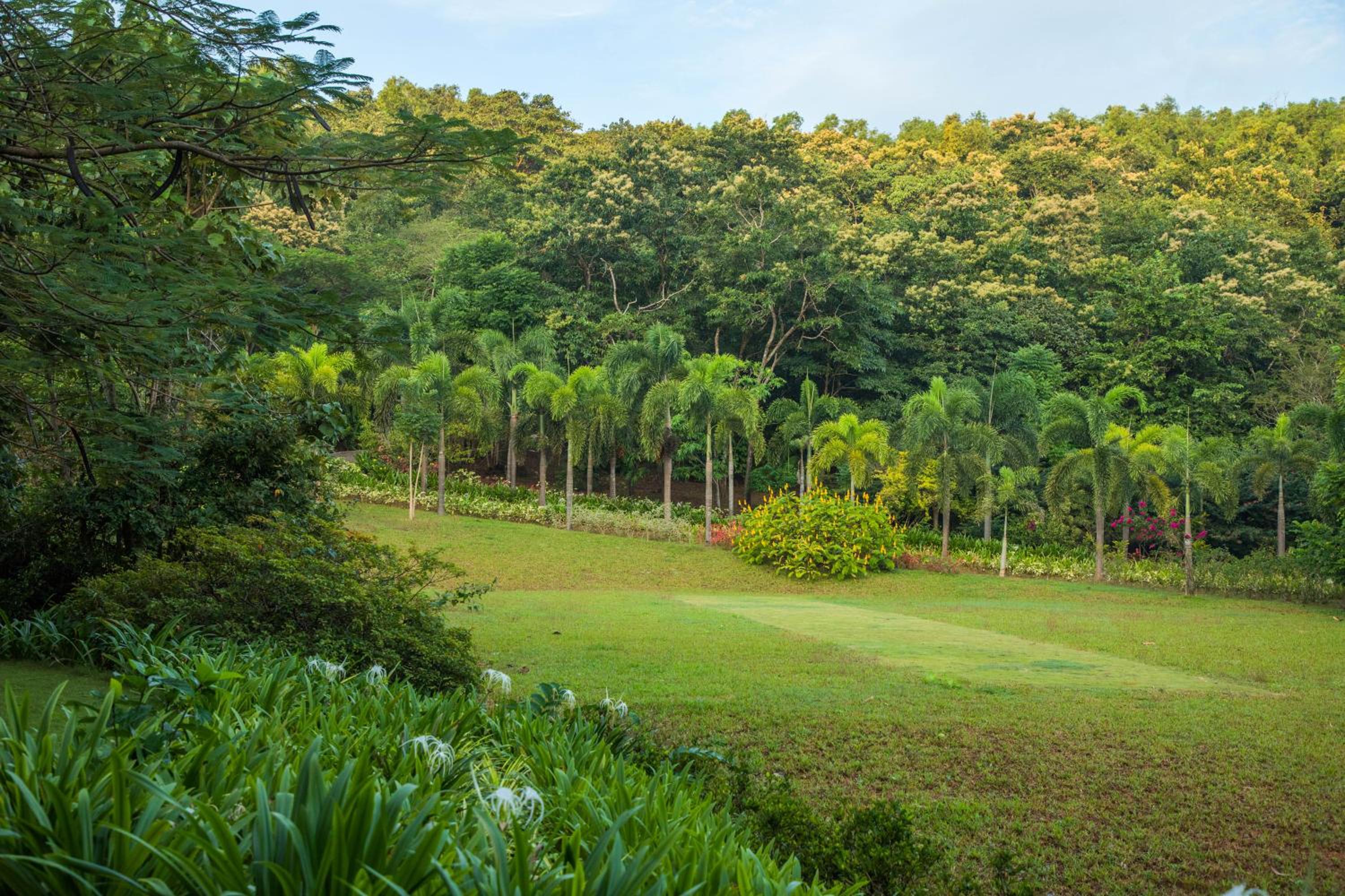 Photo 55