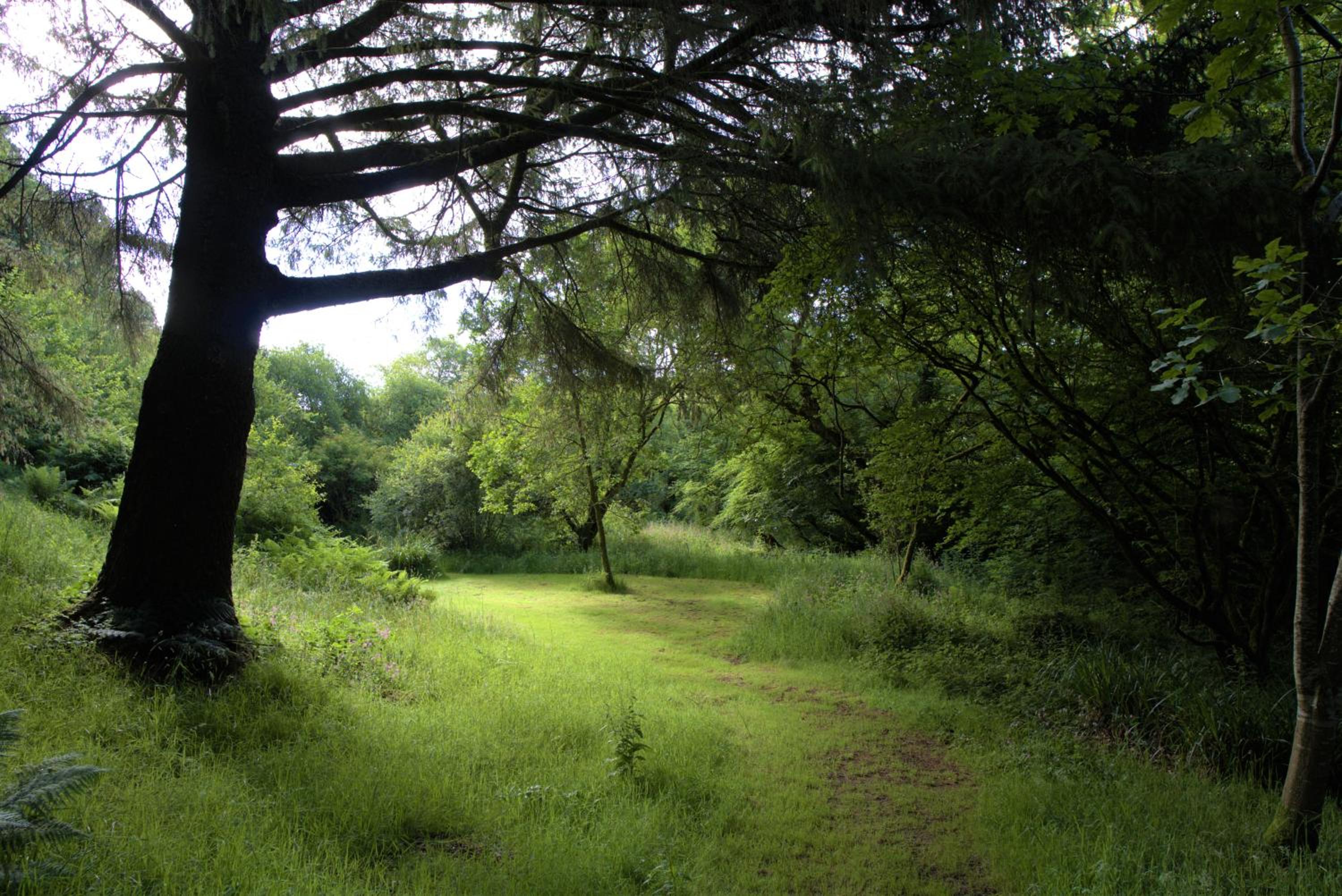 Photo 45