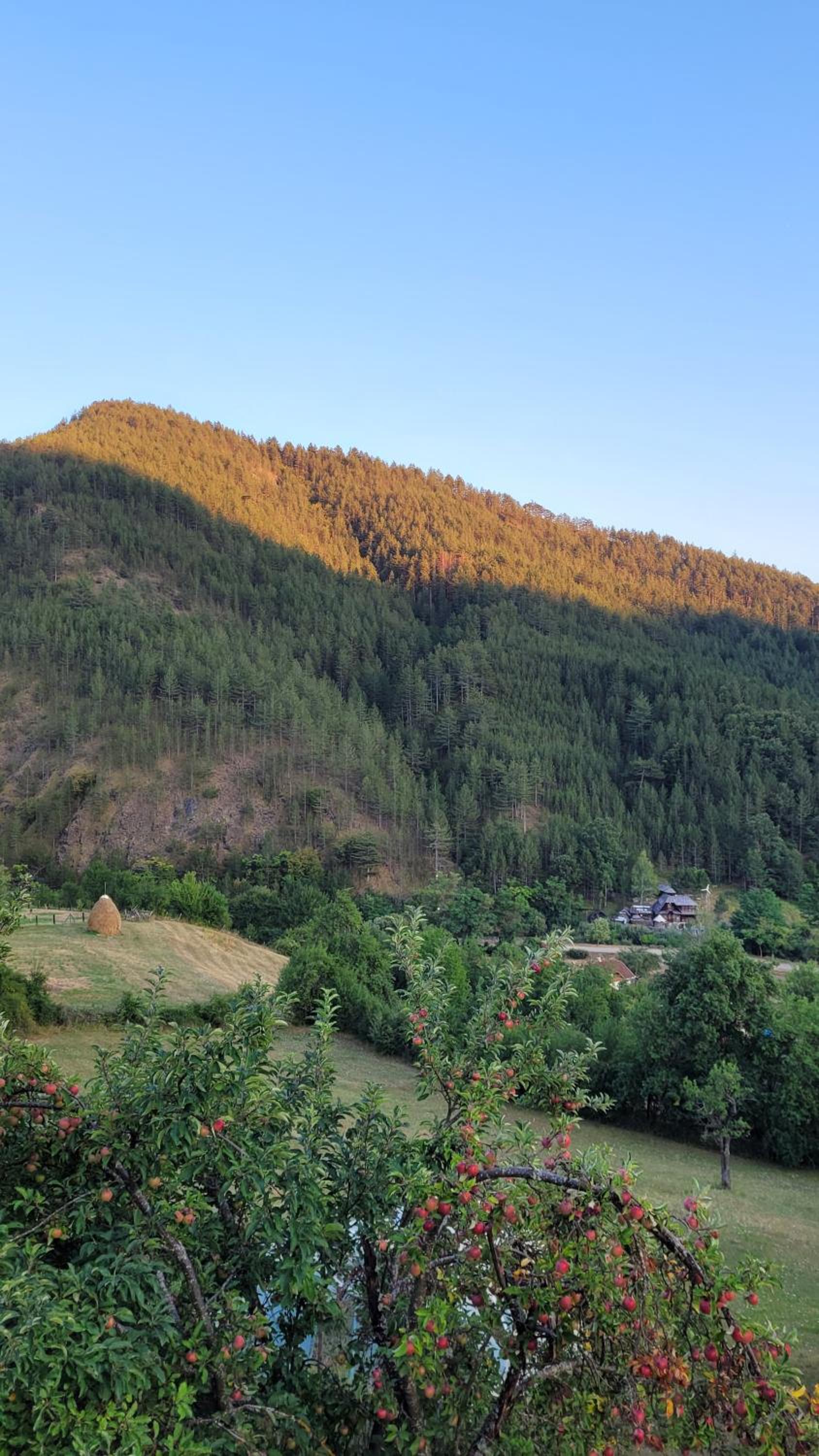 Apartman Panorama