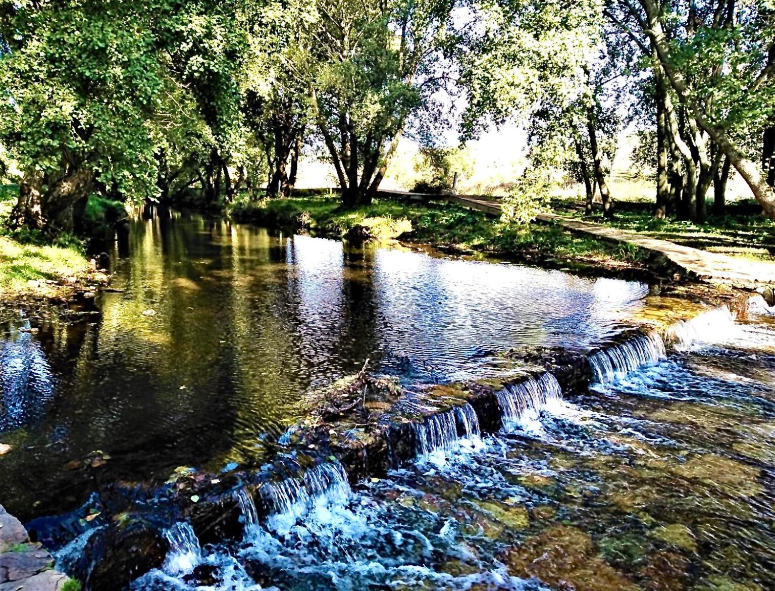 Casa Rural Los Olmos