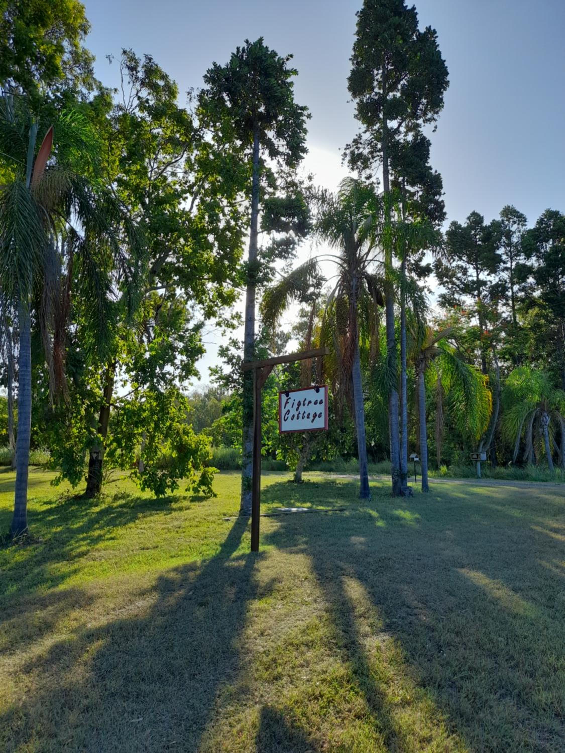 Figtree Cottage - Homestay - Yeppoon view 3