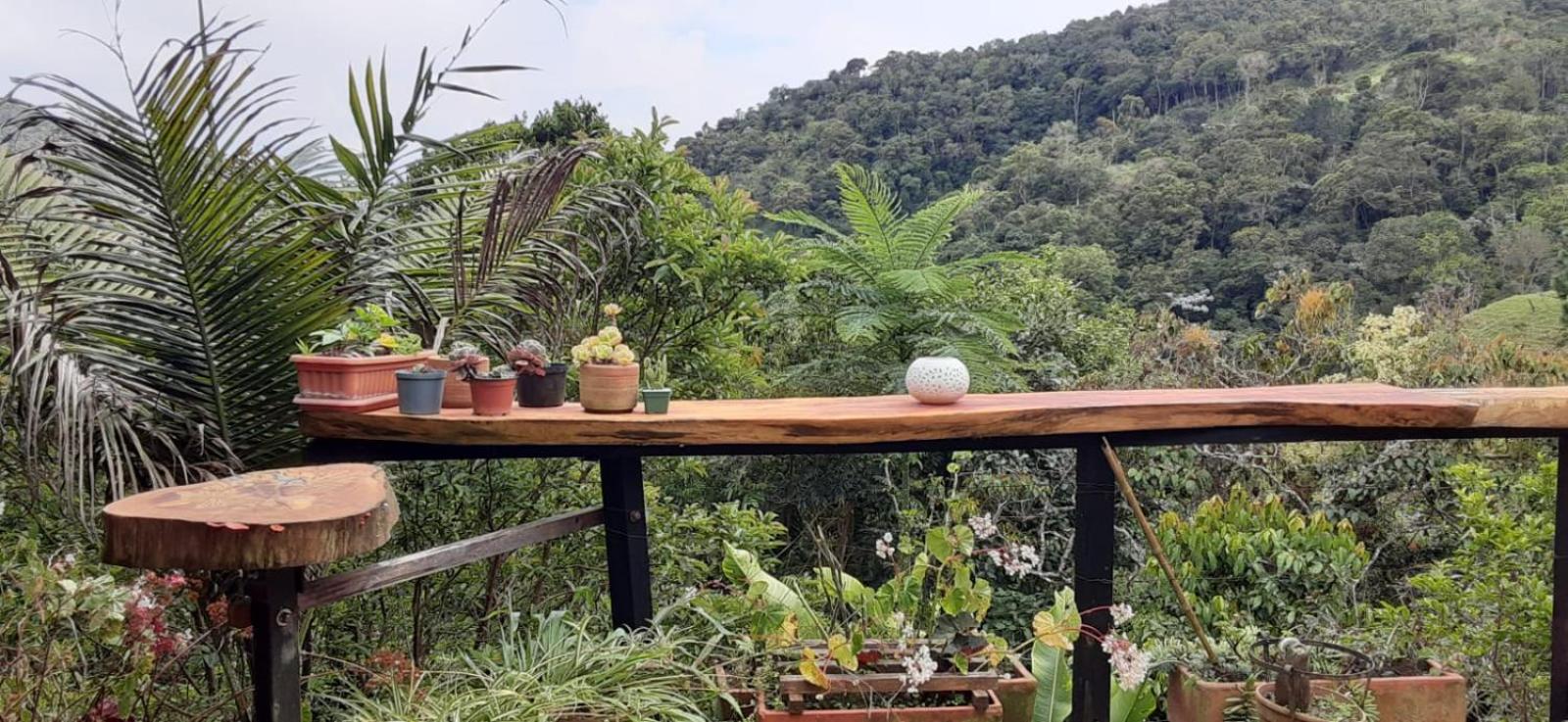 LA CASA DEL BOSQUE Via SALADITO