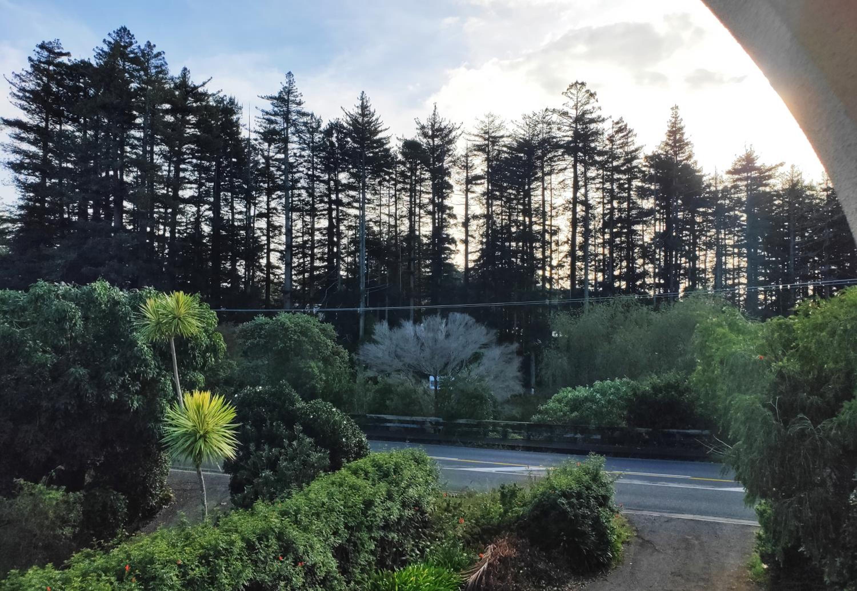 Heart of Kerikeri - The Studio