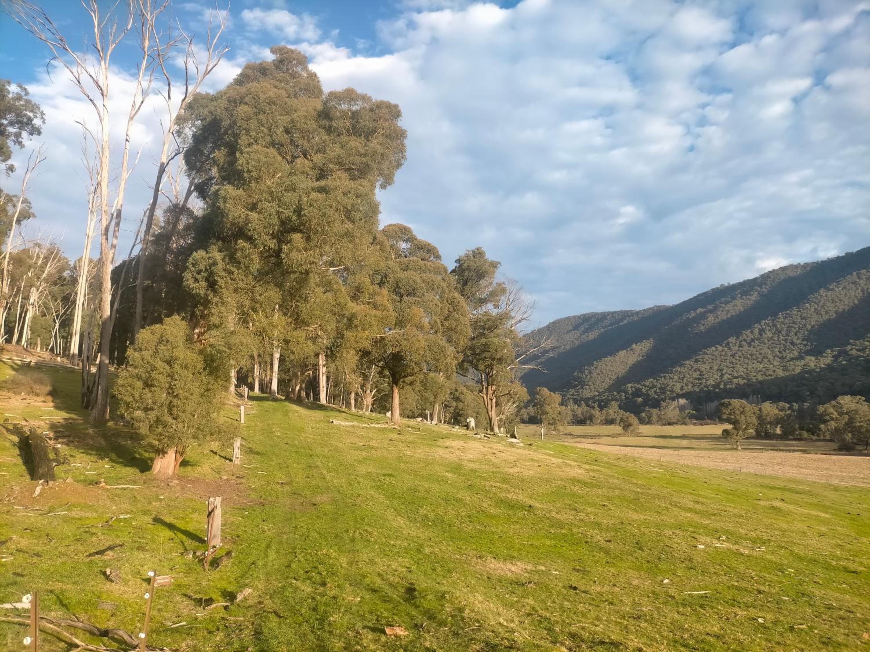 Riverbend Homestead