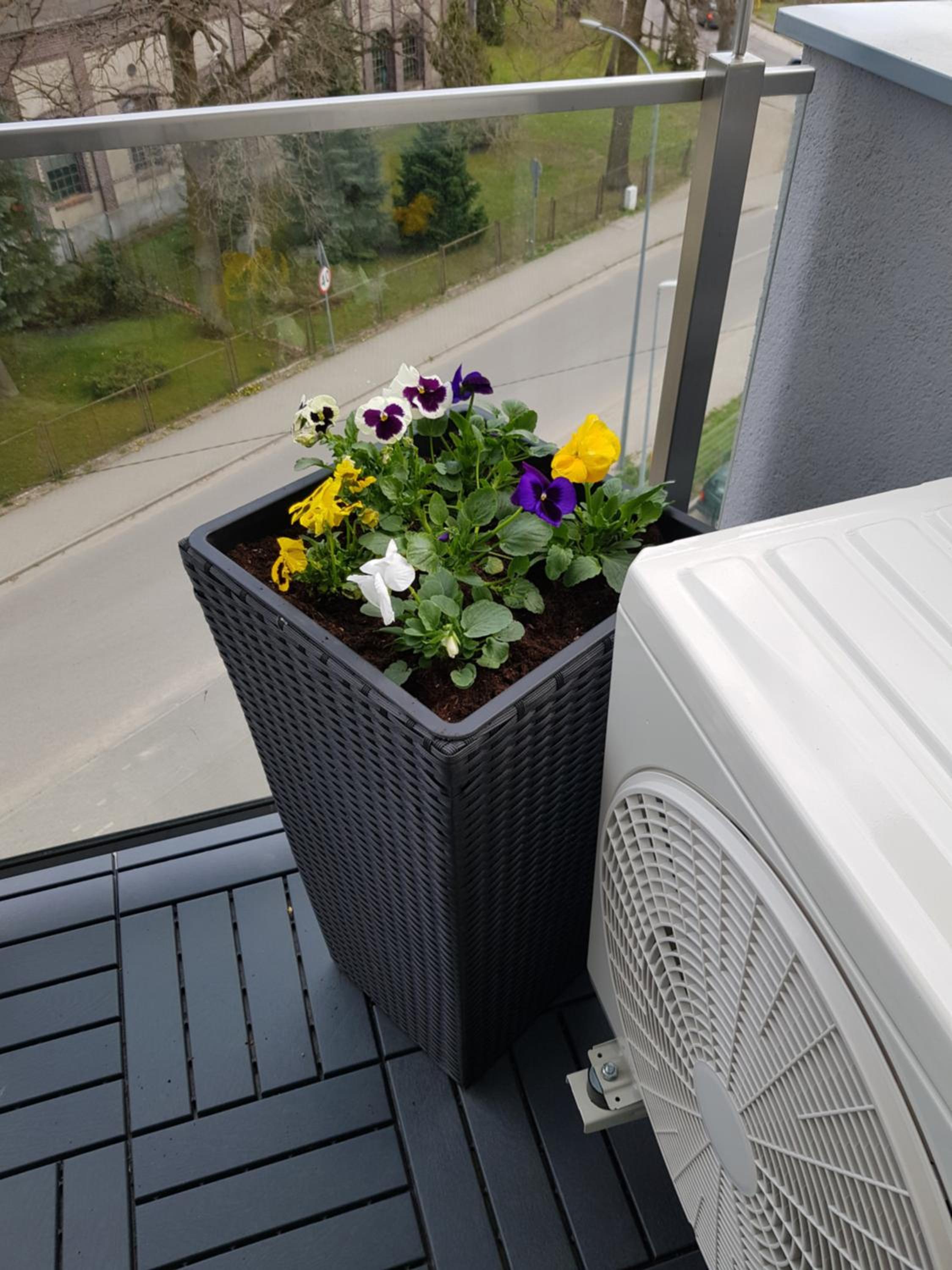 Photo 38
