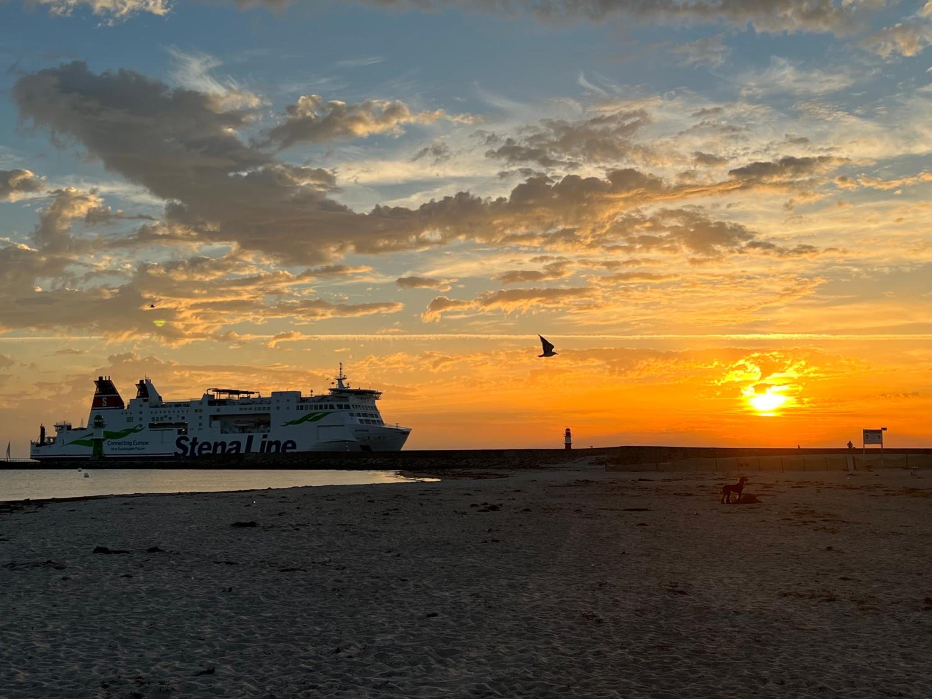 Ferienwohnungen Alexandrinenstraße in Warnemünde view 4
