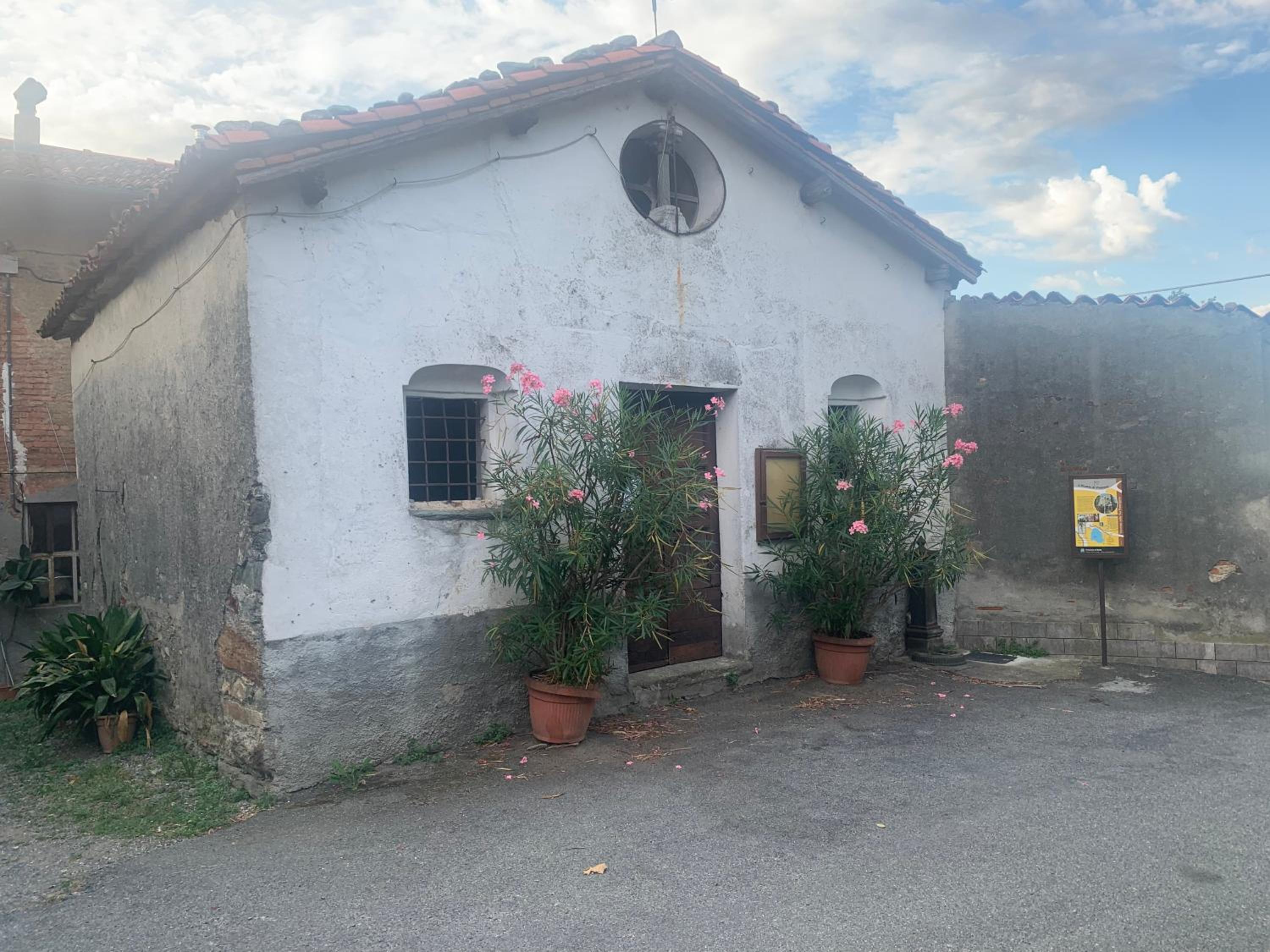 Bouganville