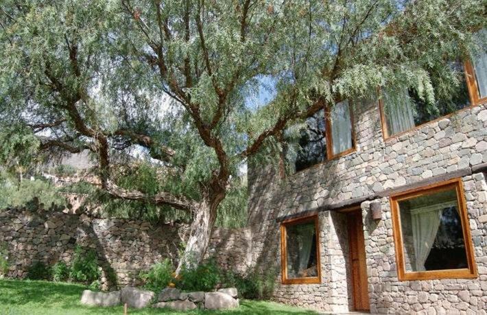 Refugio Del Pintor