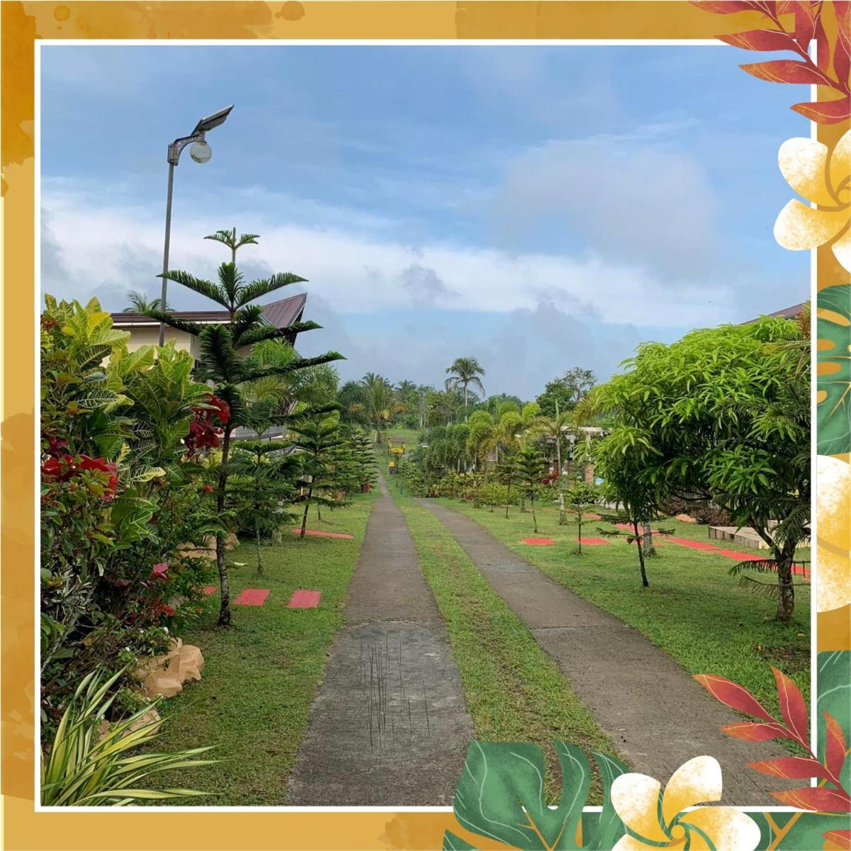 A&A Garden Suites, photo 42