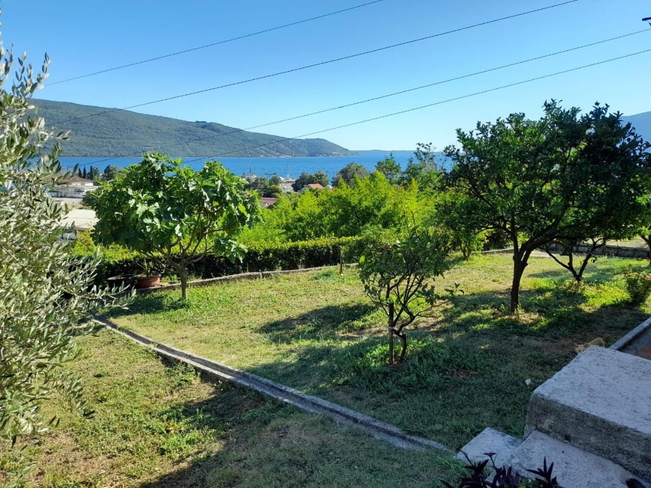 Zelenica Apartment view 2