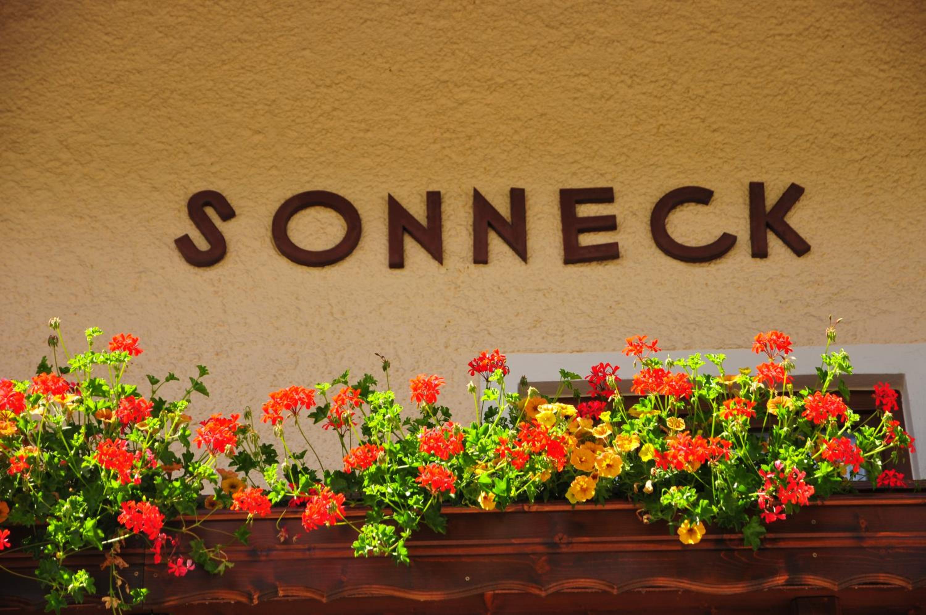 Chalet Sonneck