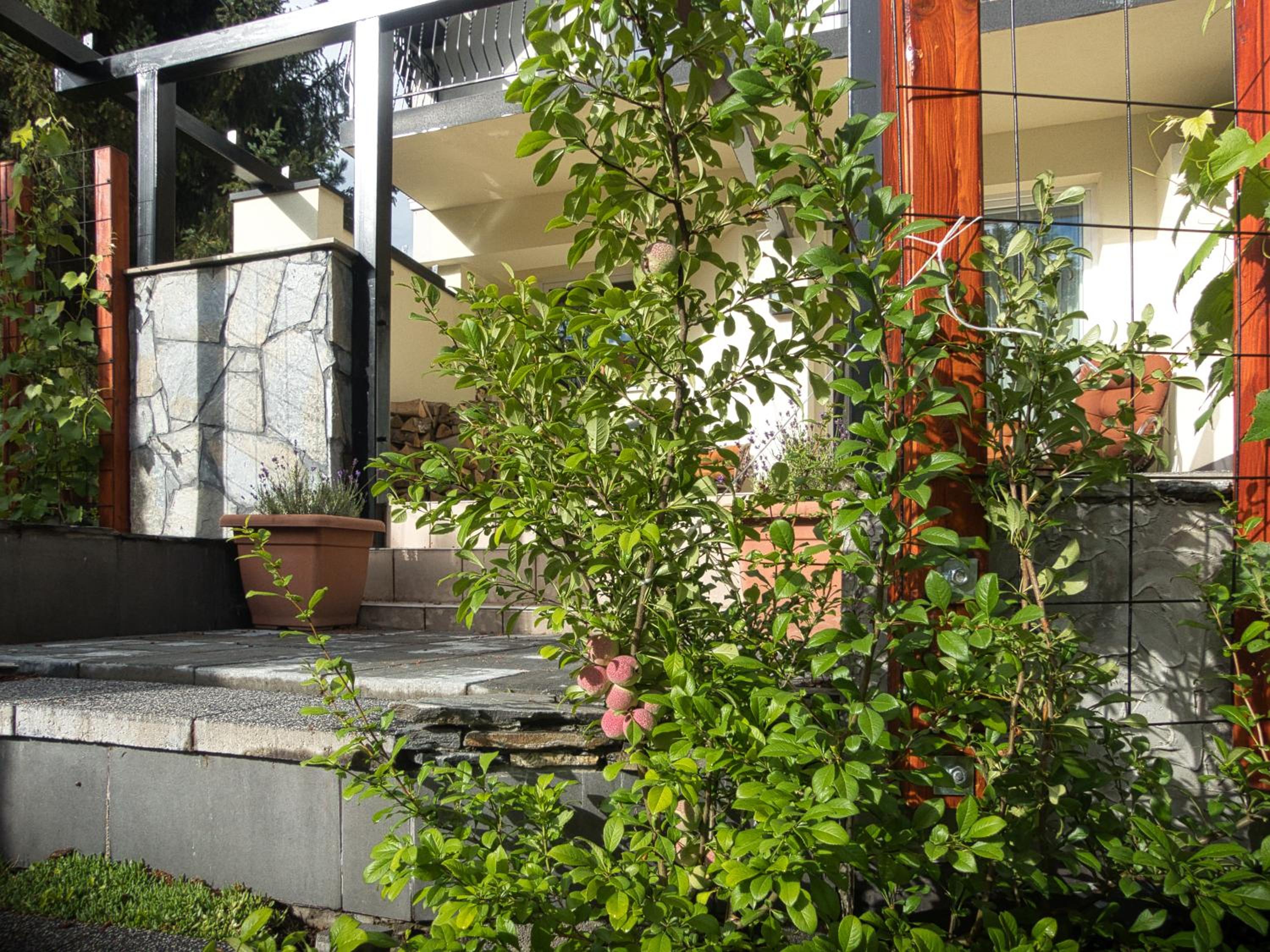 Photo 18