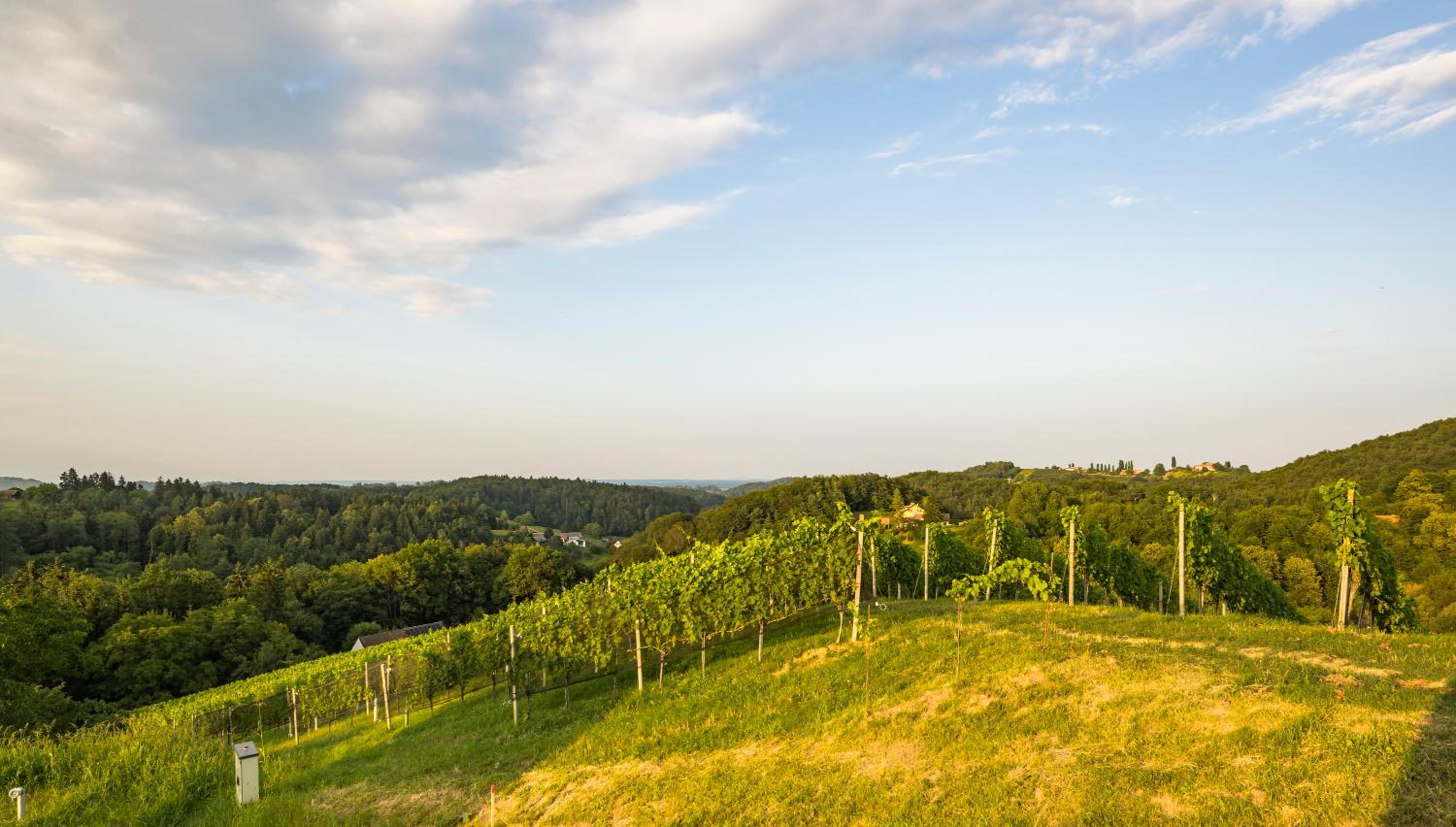 WeinZeit Chalets