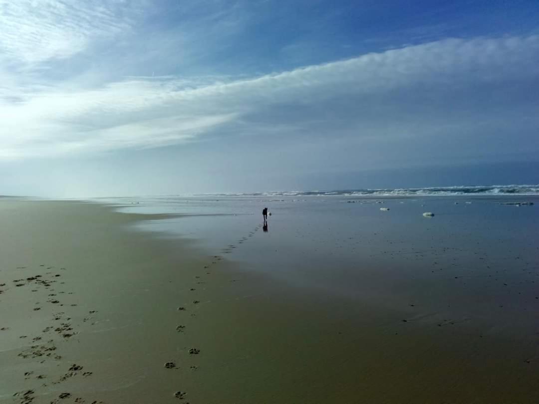 Photo 36