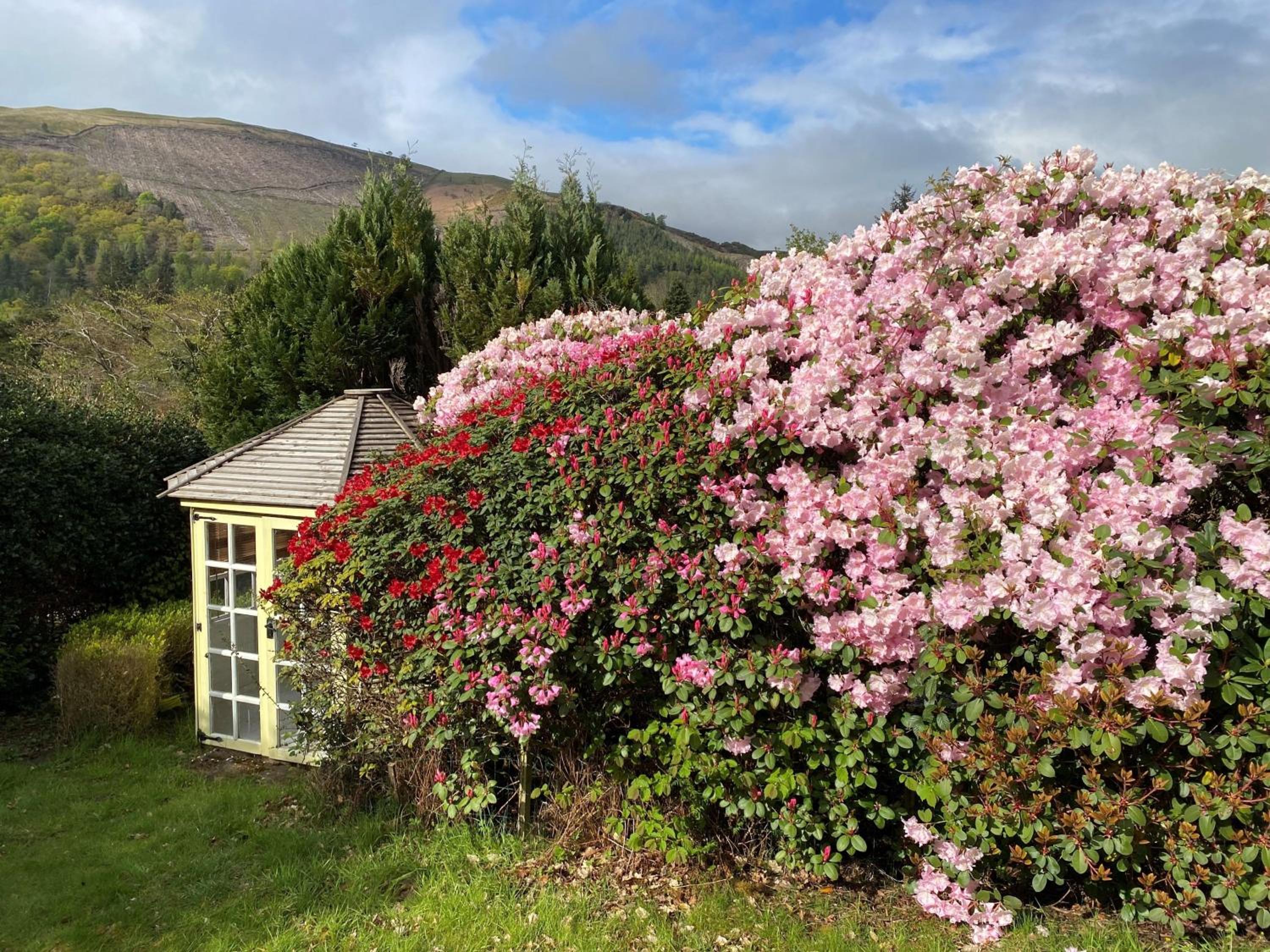 Shelley Cottage