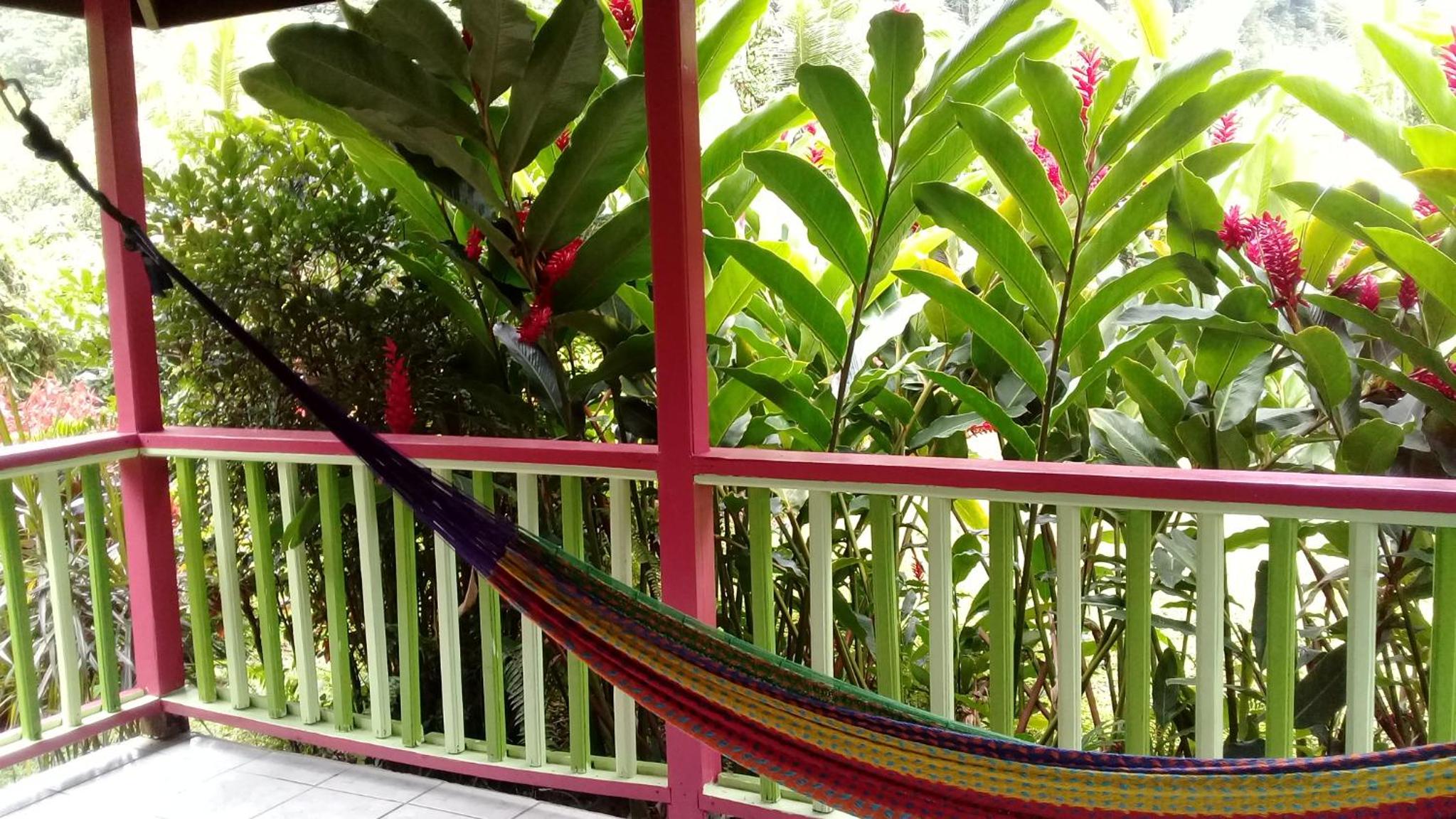 3 Rivers Eco Lodge