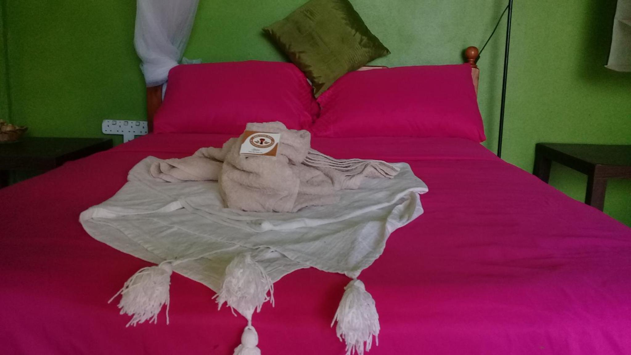 3 Rivers Eco Lodge