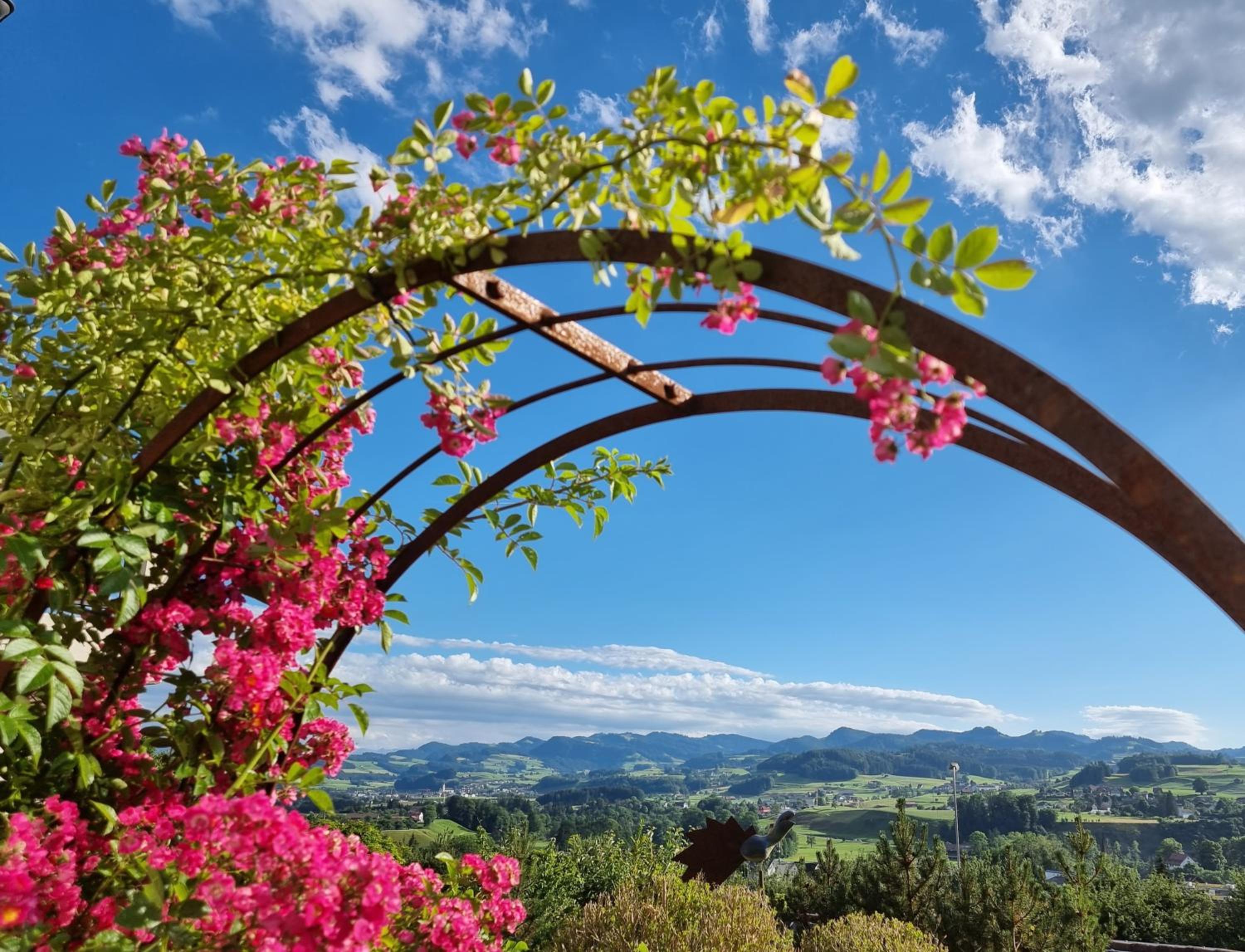 BnB Alpenblick