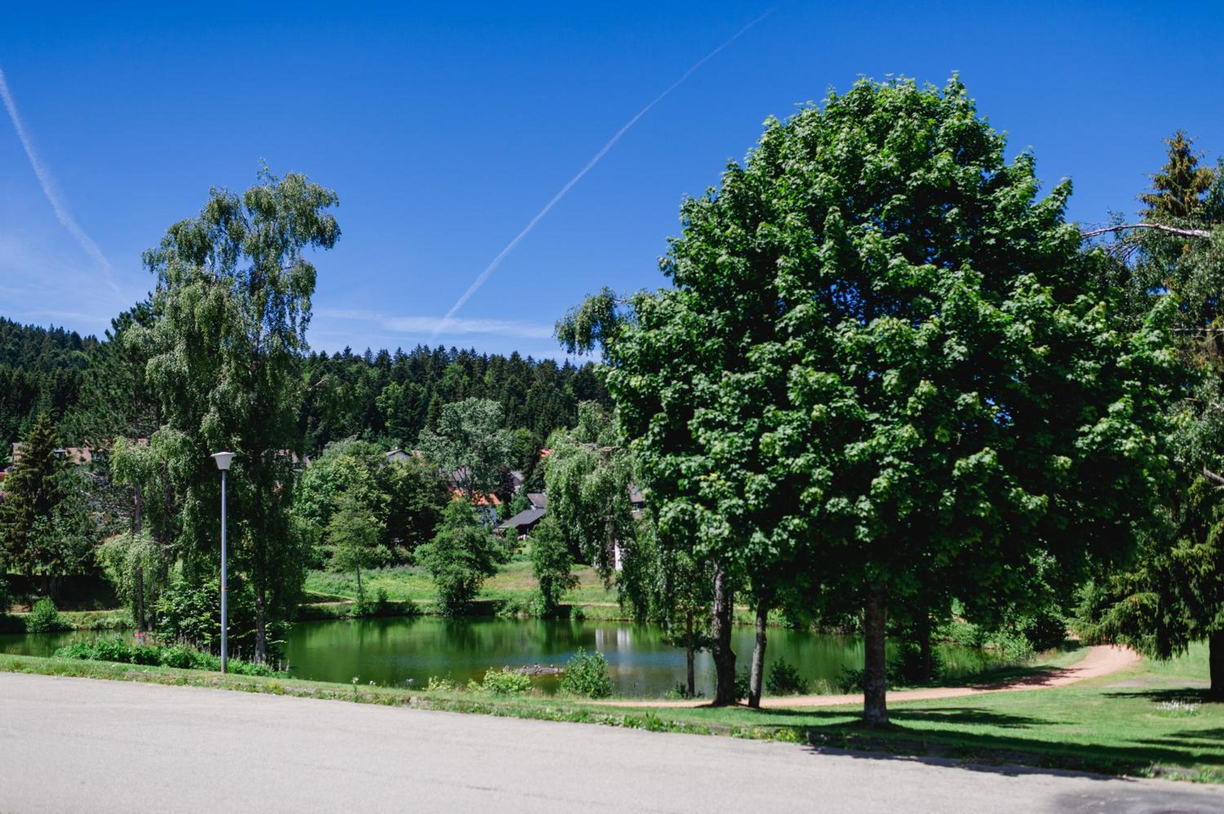 Ferienwohnung 