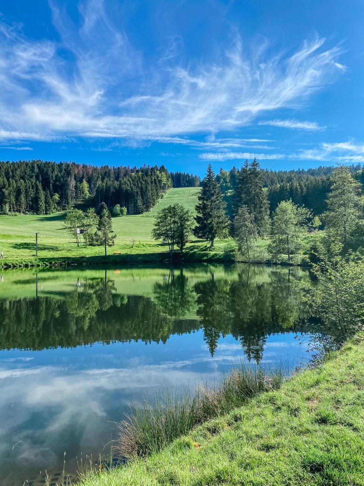 Ferienwohnung 