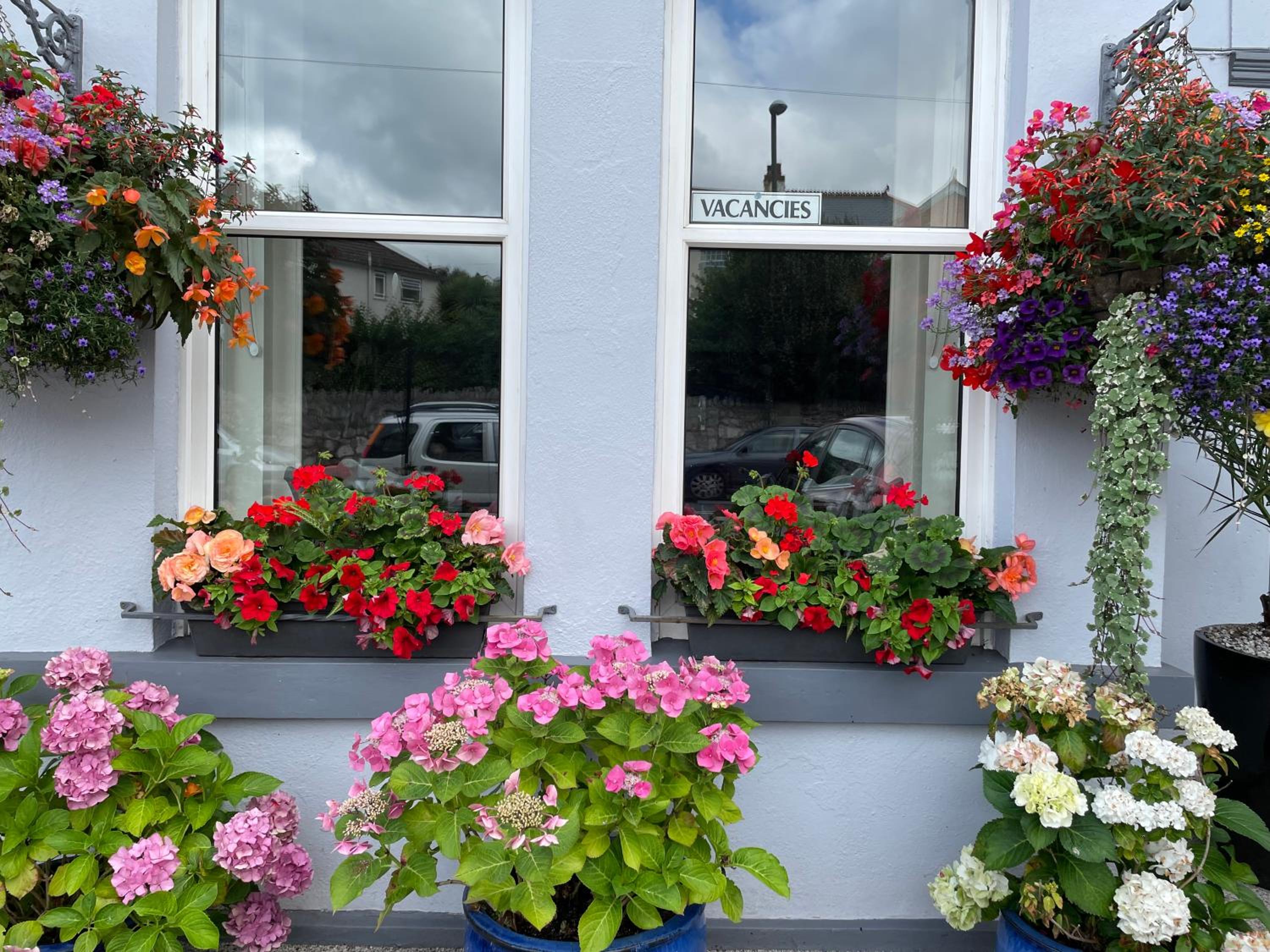 Trefoil Guest House