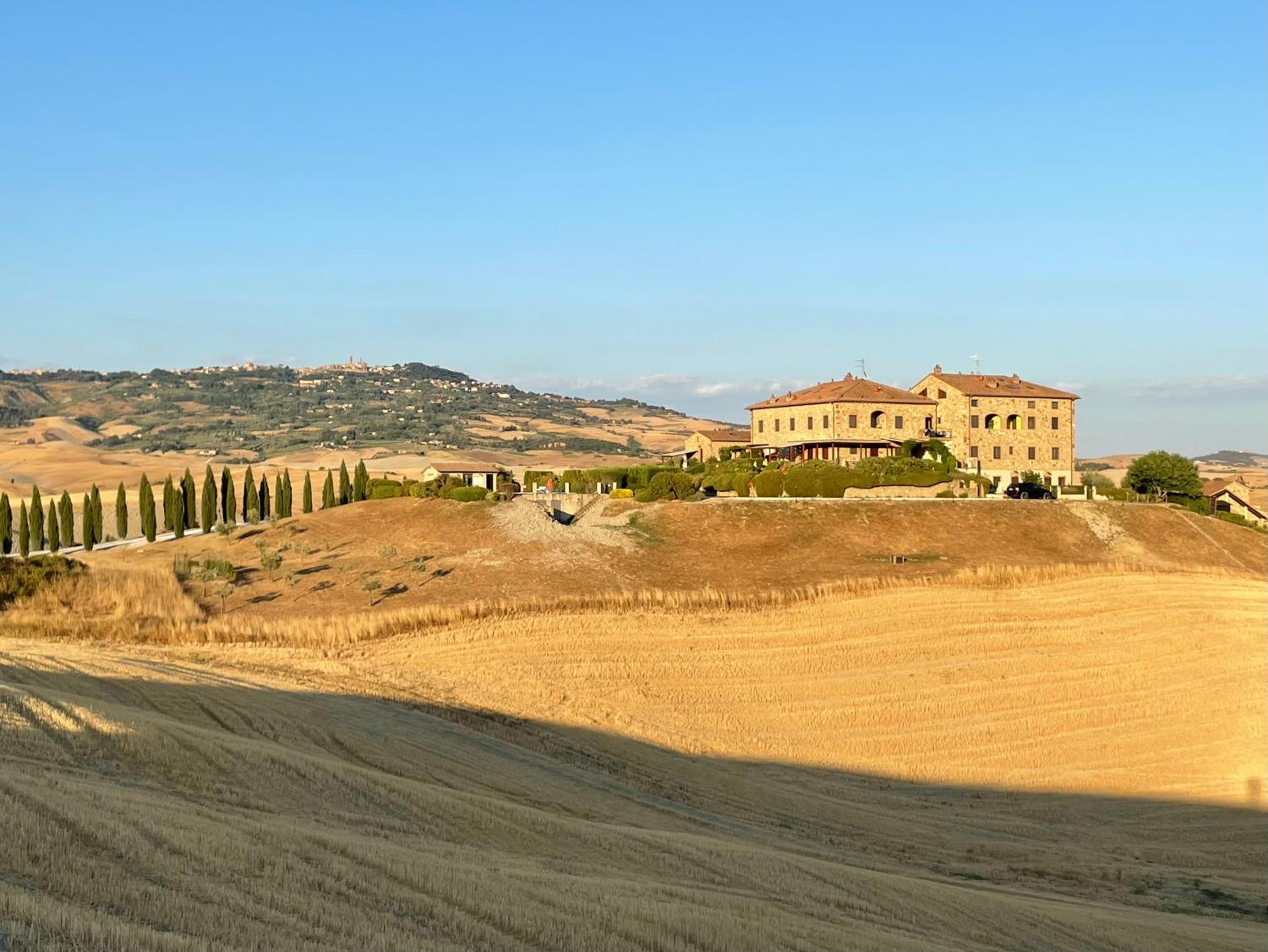 Podere Le Volpaie - Arancia view 3