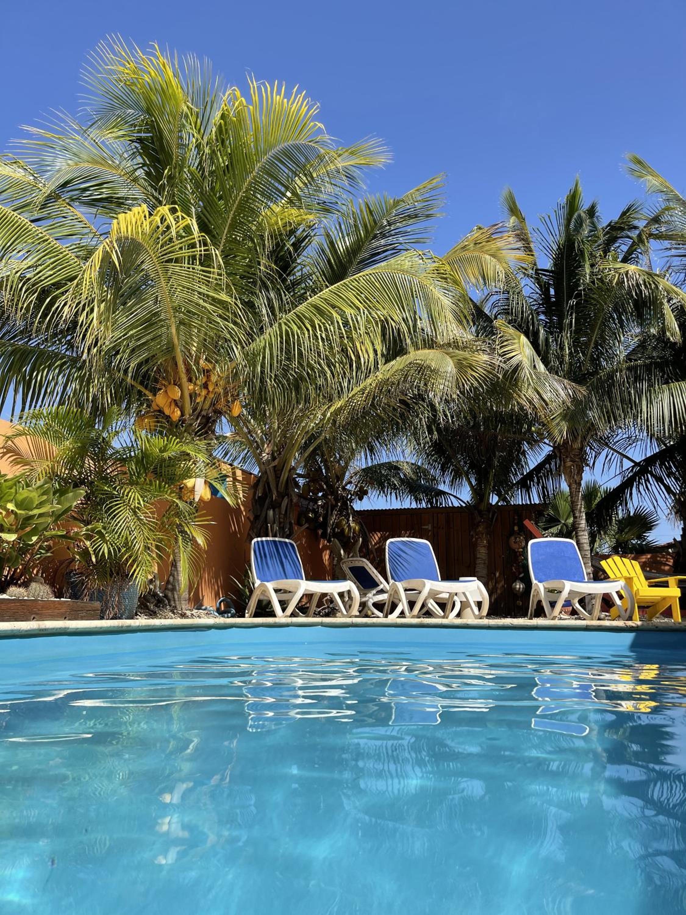 Oasis guesthouse, Boutique Style Hotel