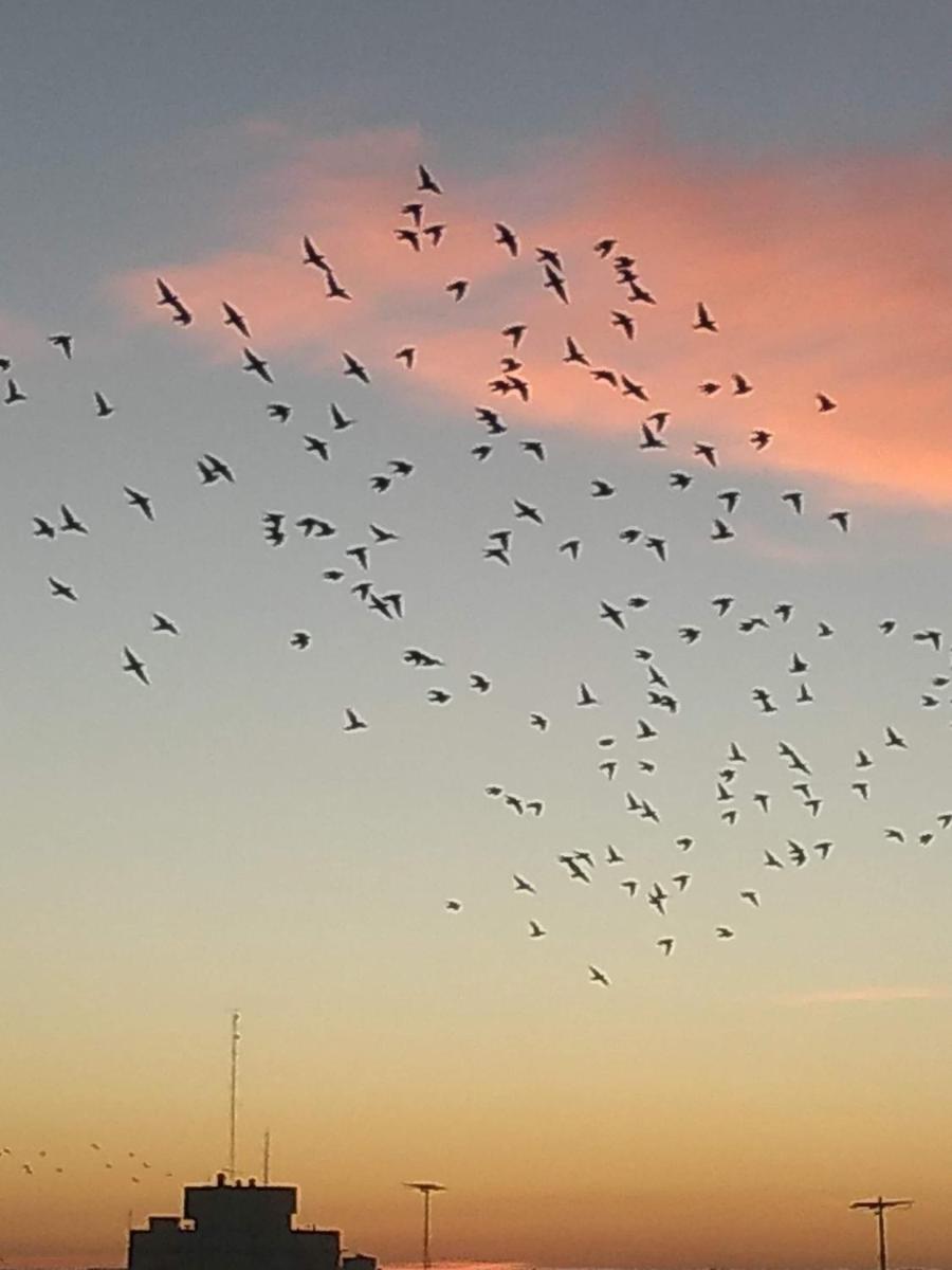Hermosos atardeceres …