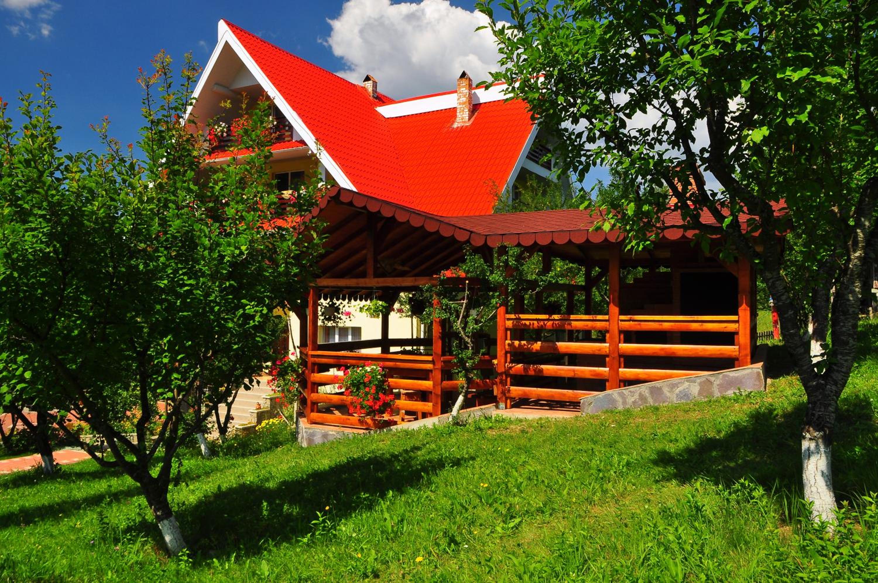 Photo 49