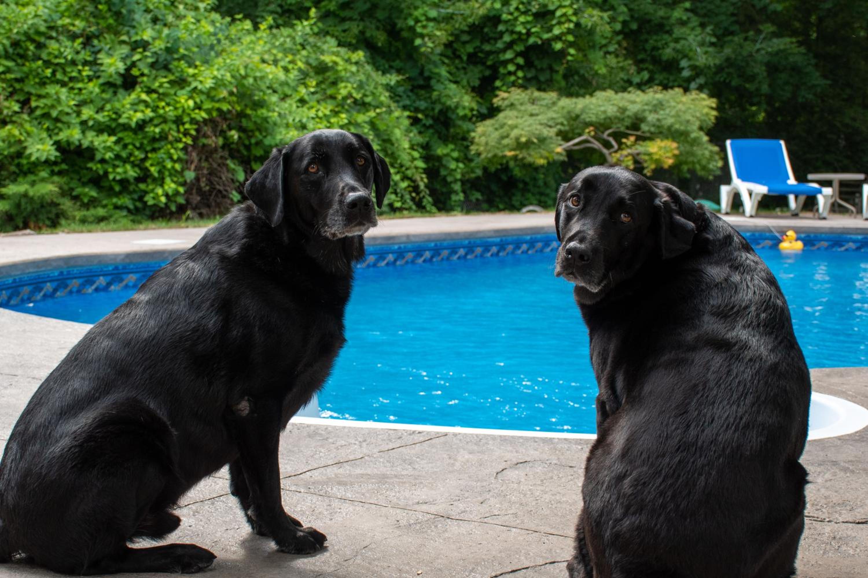 Upper Canada Coach House - Property Image 3