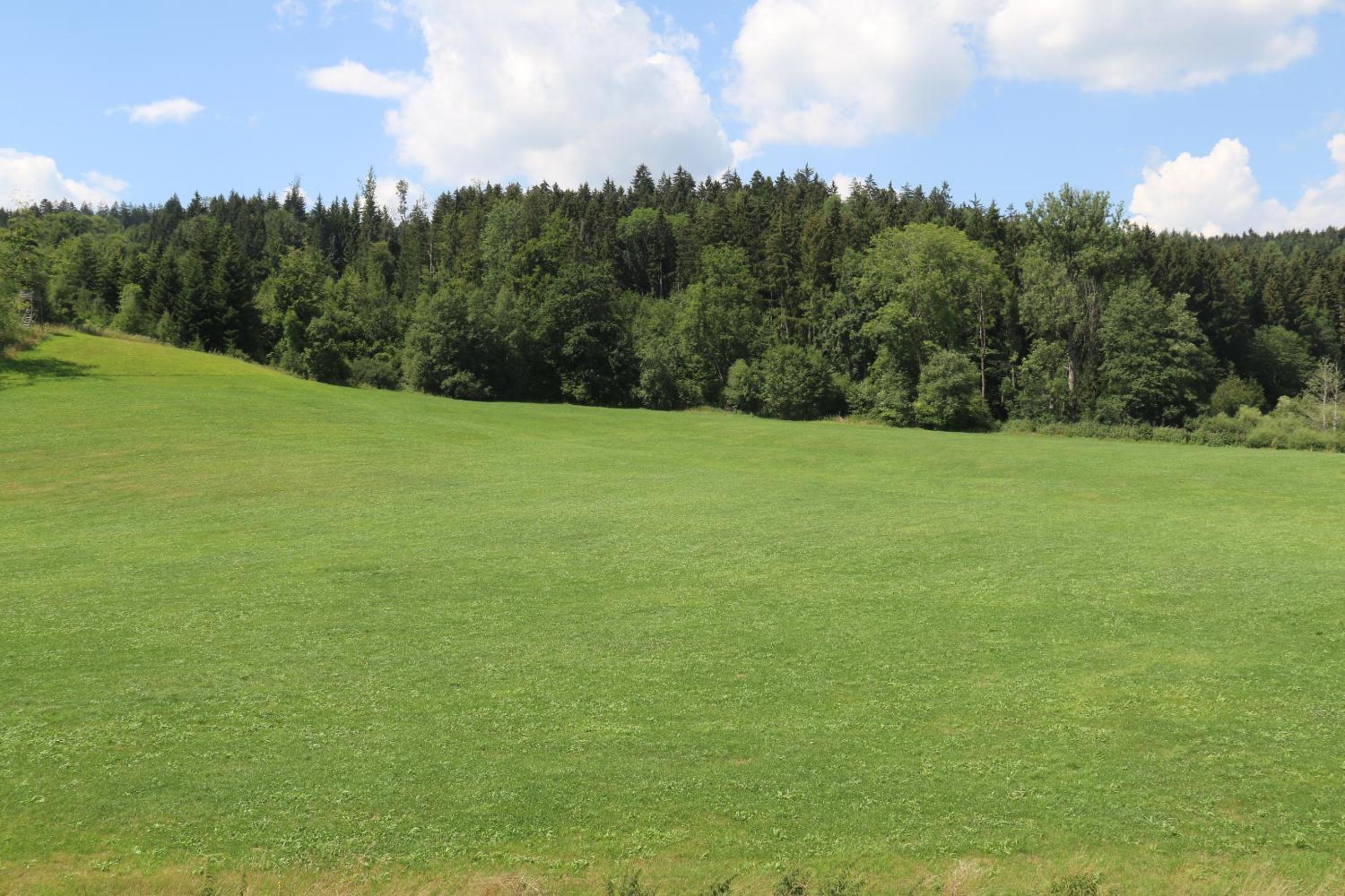 BaumKrone im Happy Allgäu - 2-stöckige Wohnung mit Wohnnetz