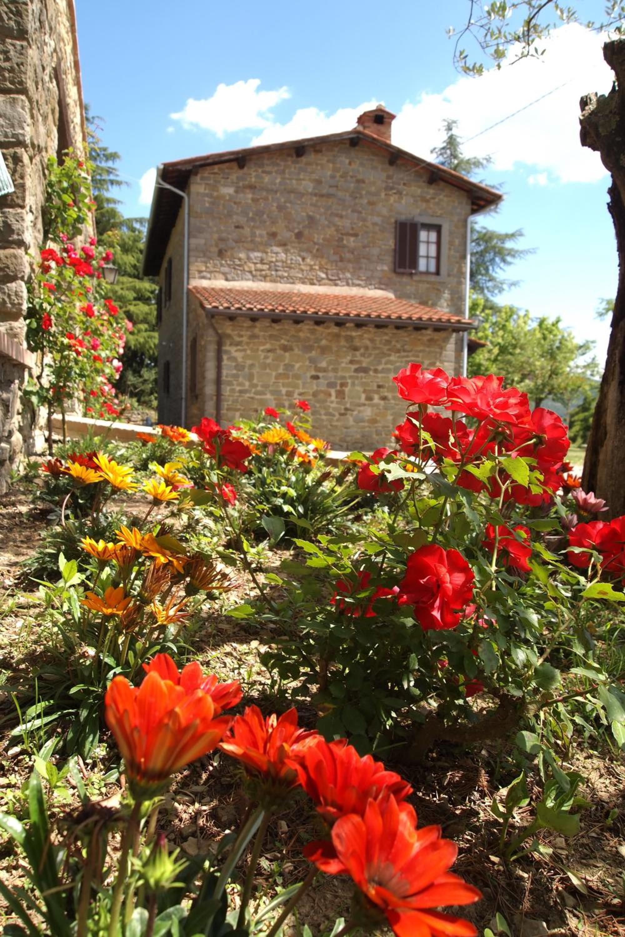 Villa ai Cedri