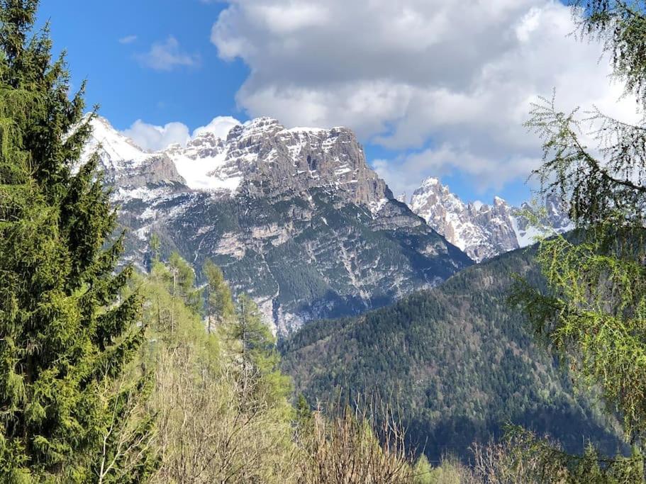 Appartamento Giada Pozzale di Pieve di Cadore(BL) view 2