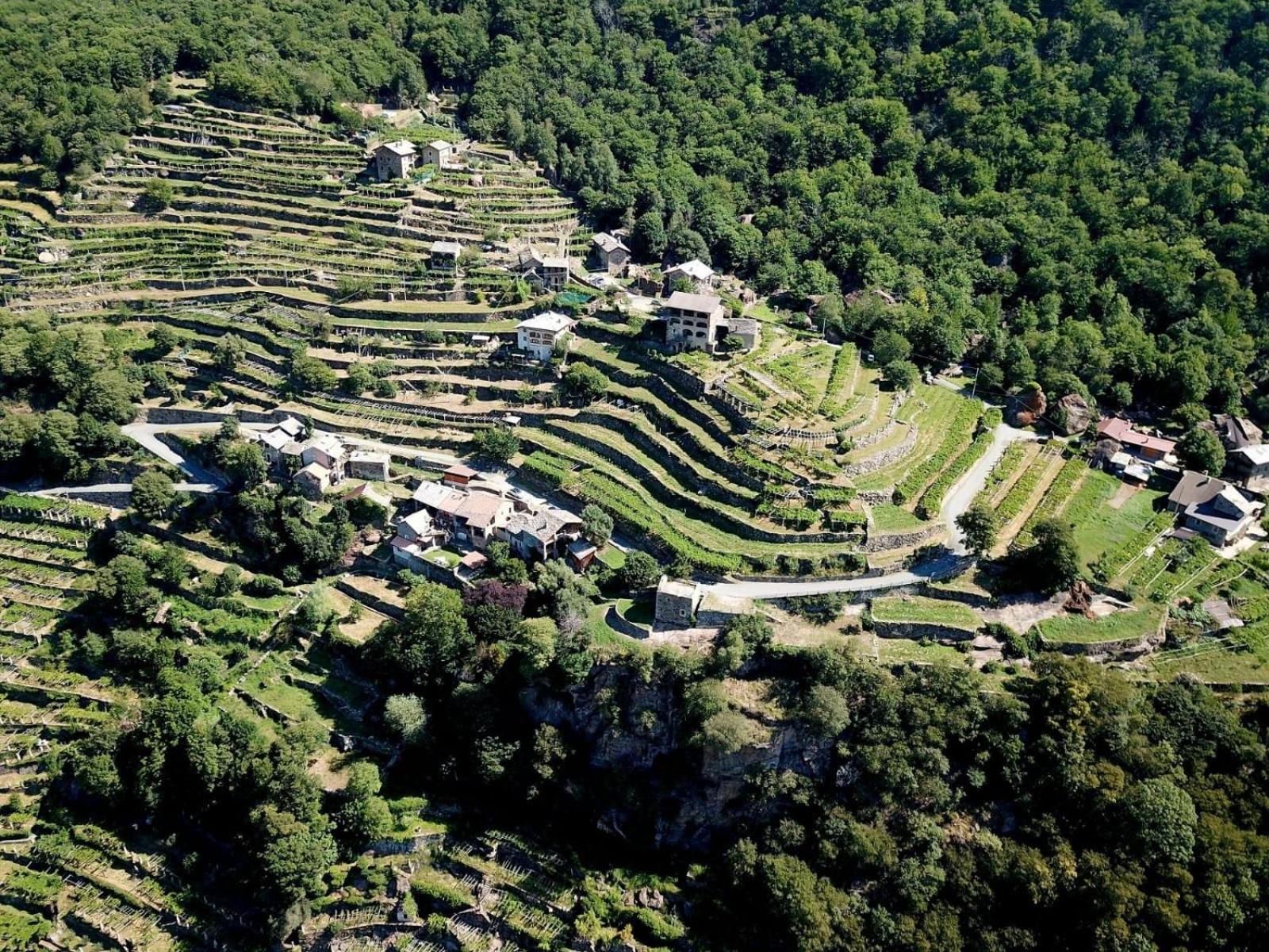B&B Al Vecchio Torchio