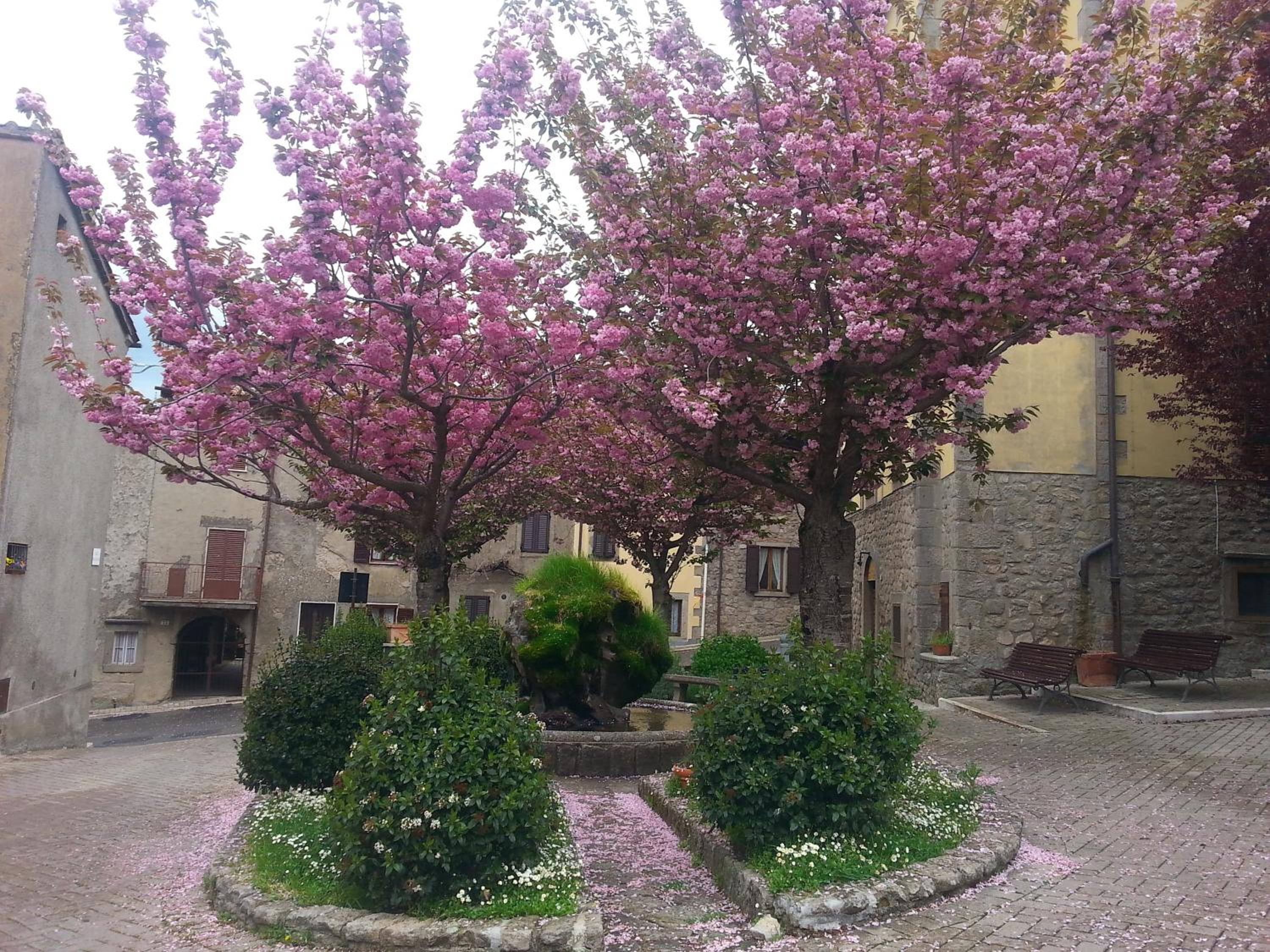 Photo 40