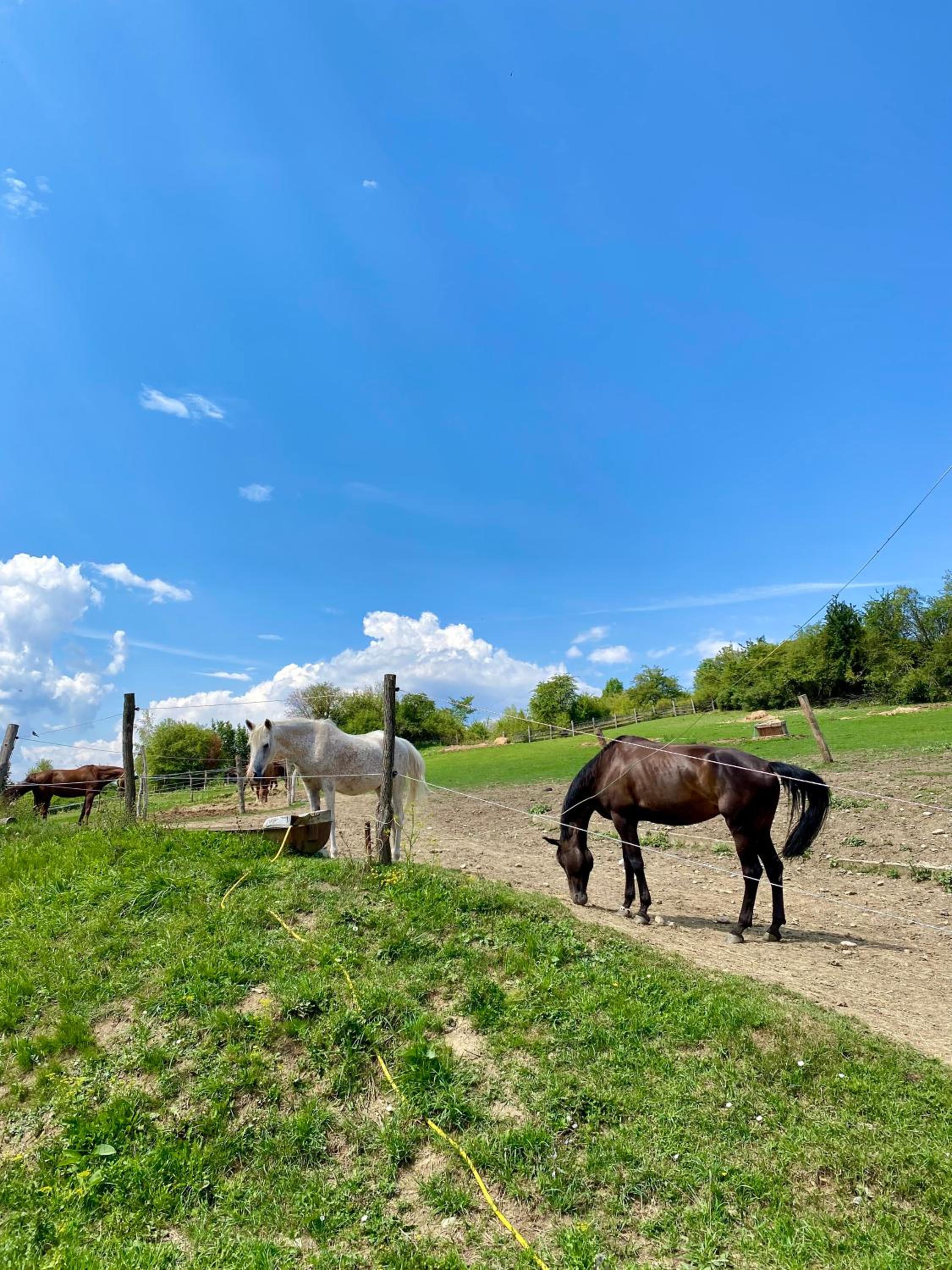 Liptovské Chaty