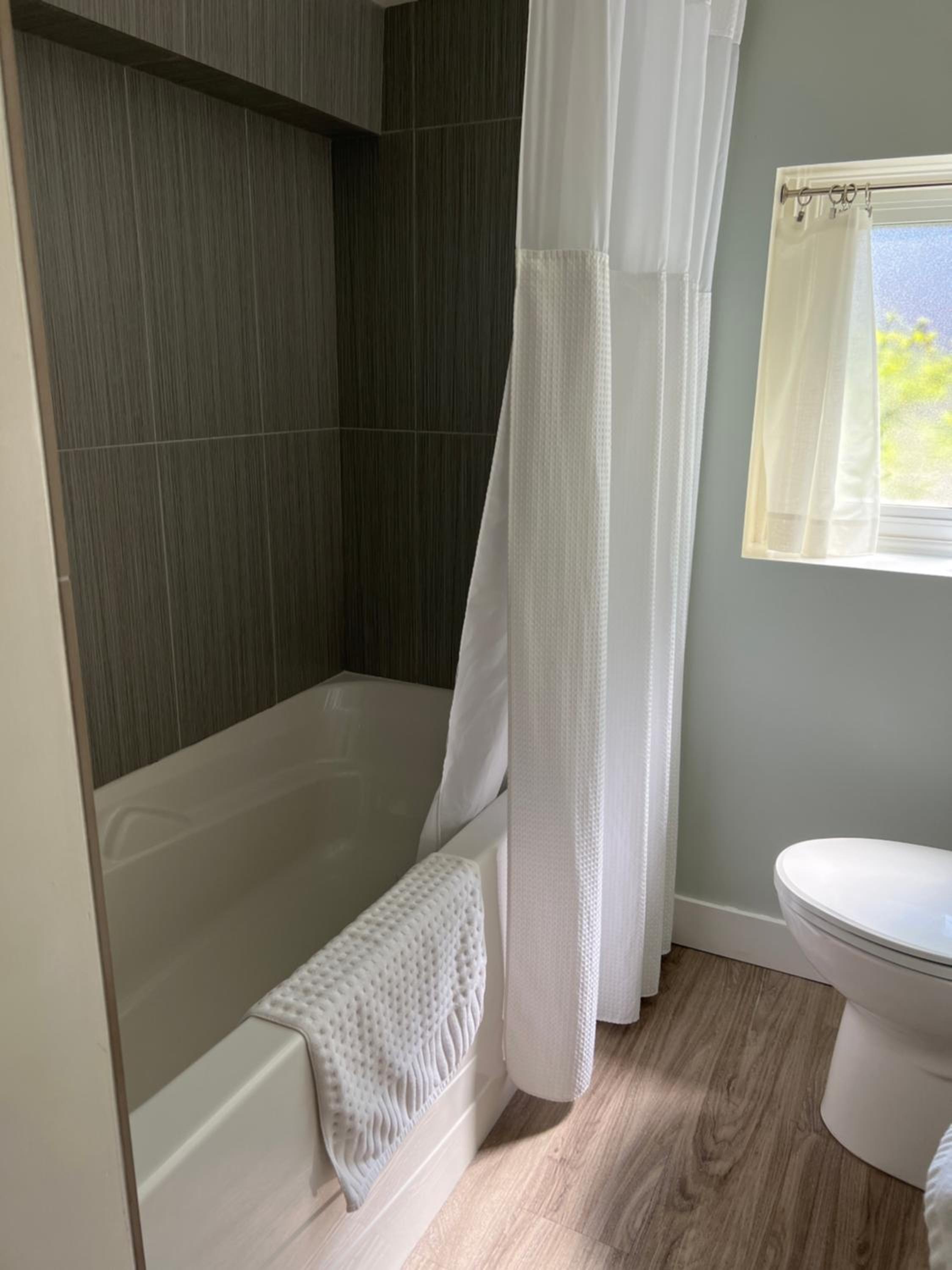 Quaint 1 bedroom lower suite in Victoria, BC