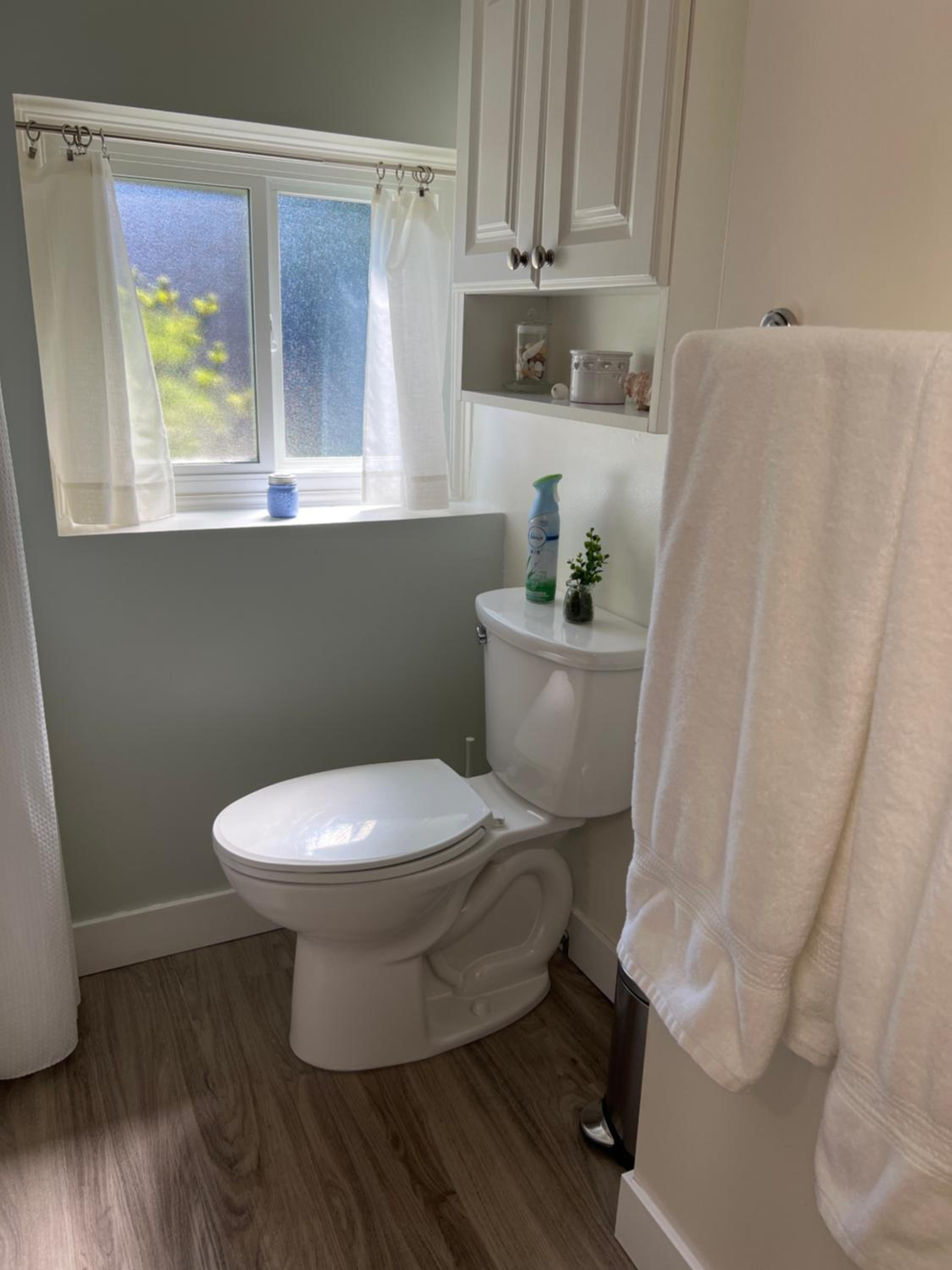 Quaint 1 bedroom lower suite in Victoria, BC