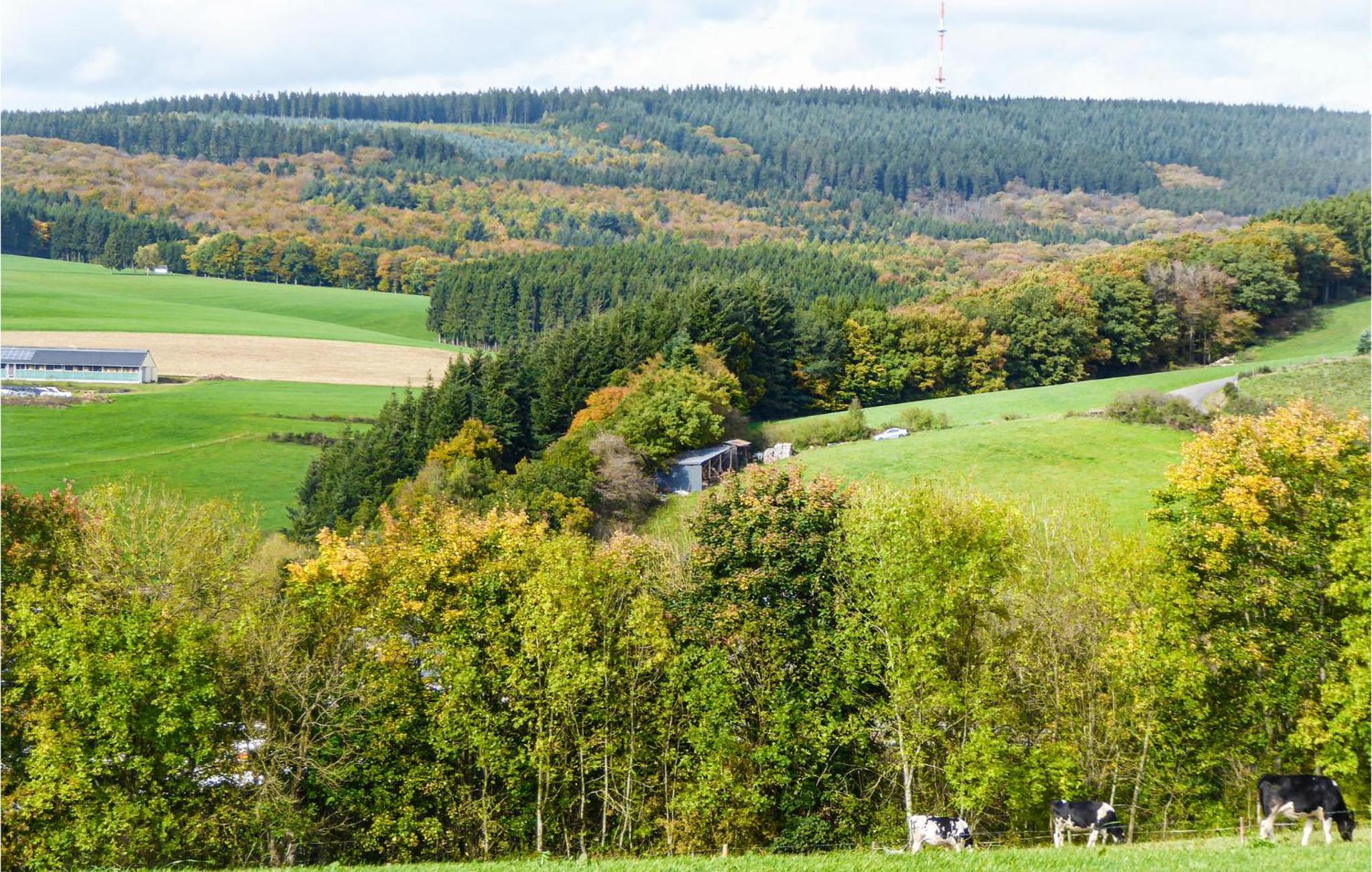 Ferienpark Wolfsschlucht