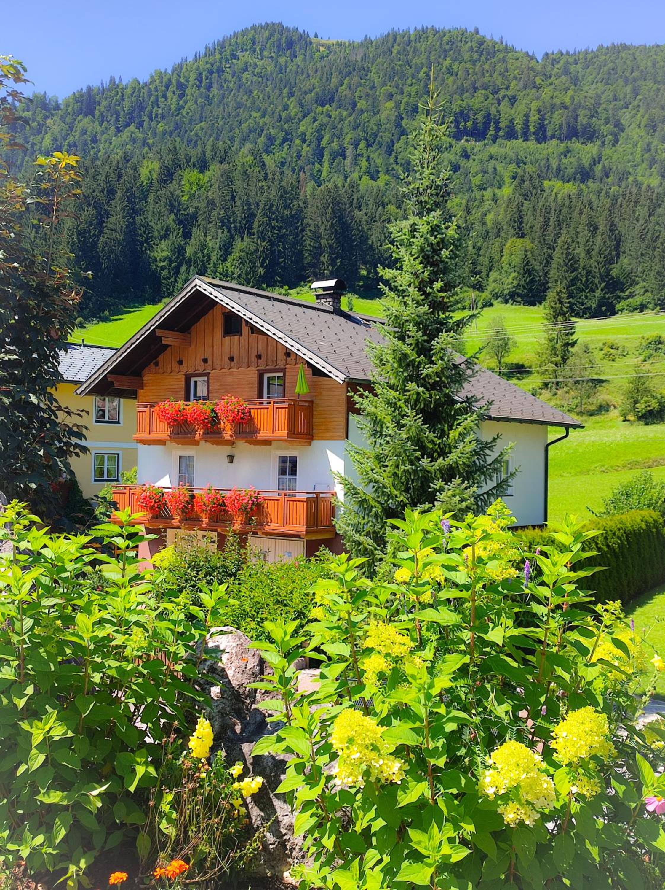 Apartment Bergfeeling