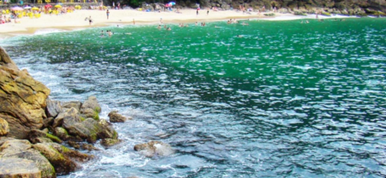 Pippo Suites Guarujá