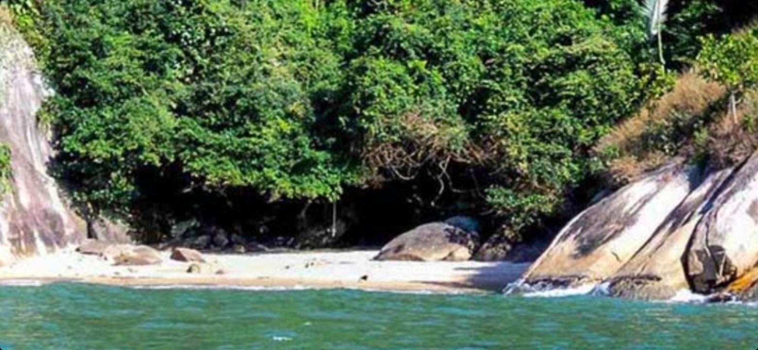 Pippo Suites Guarujá