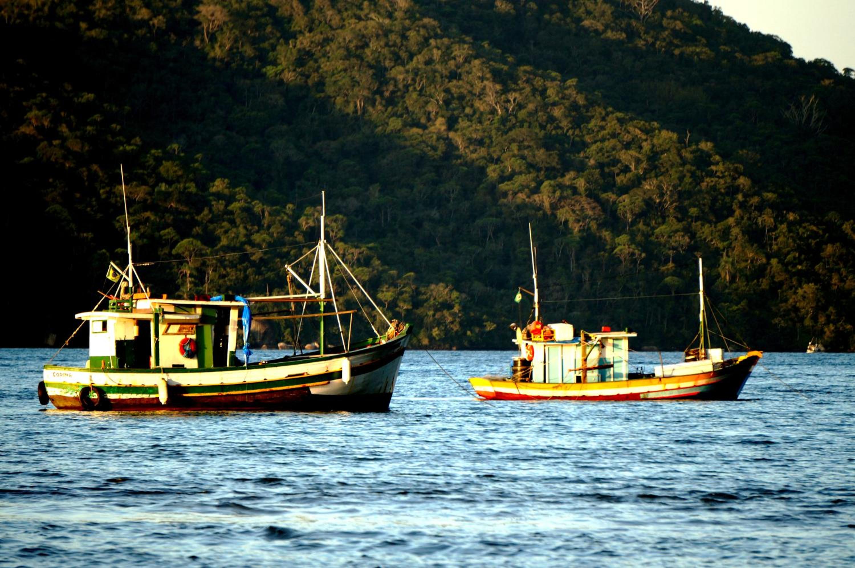 Paraty Paradiso