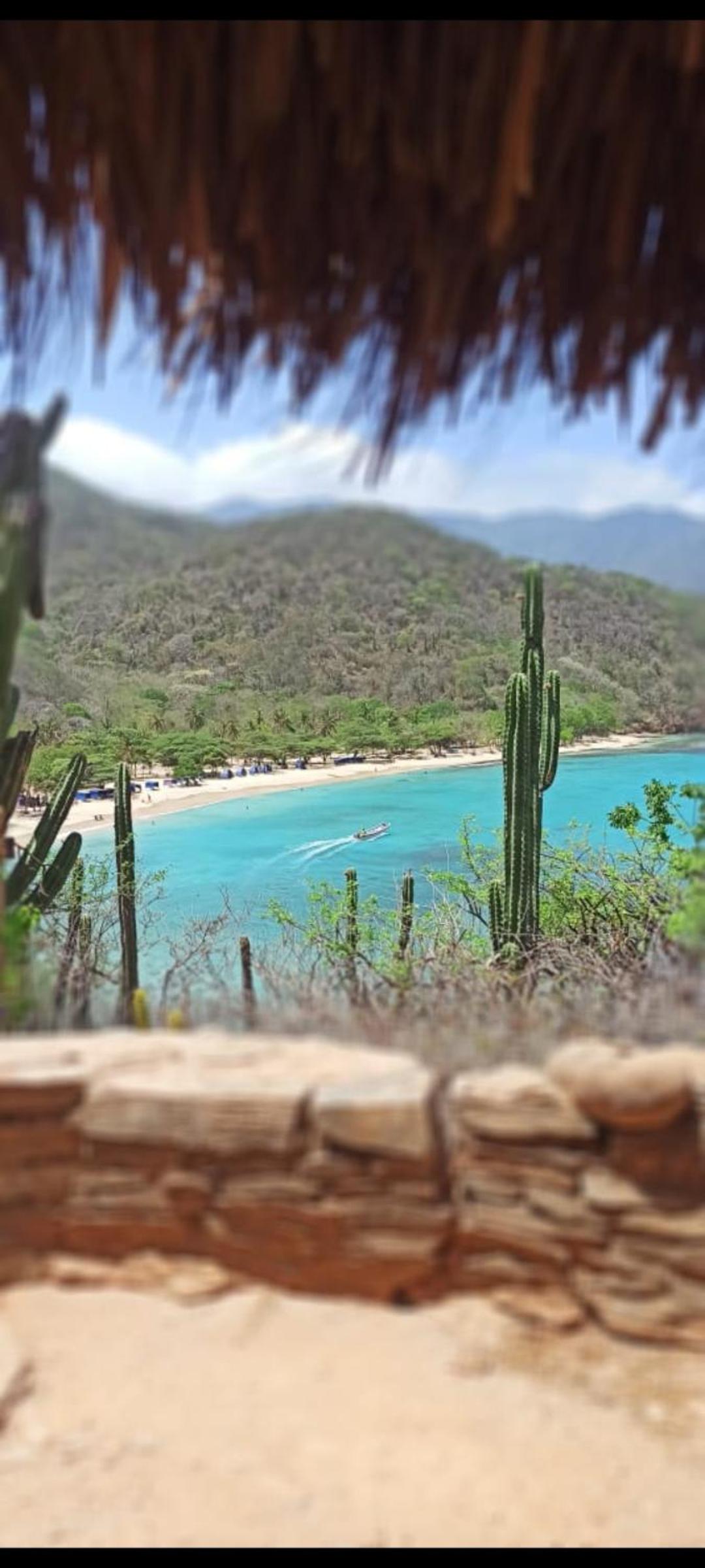 Aptartamentos Temáticos con balcón panorámico frente a la Playa